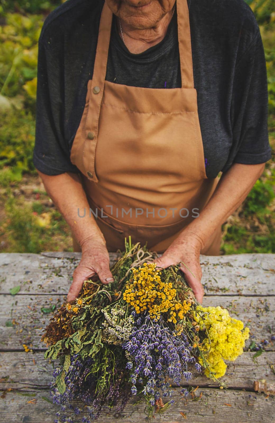 An elderly woman holds medicinal herbs in her hands. Selective focus. by yanadjana