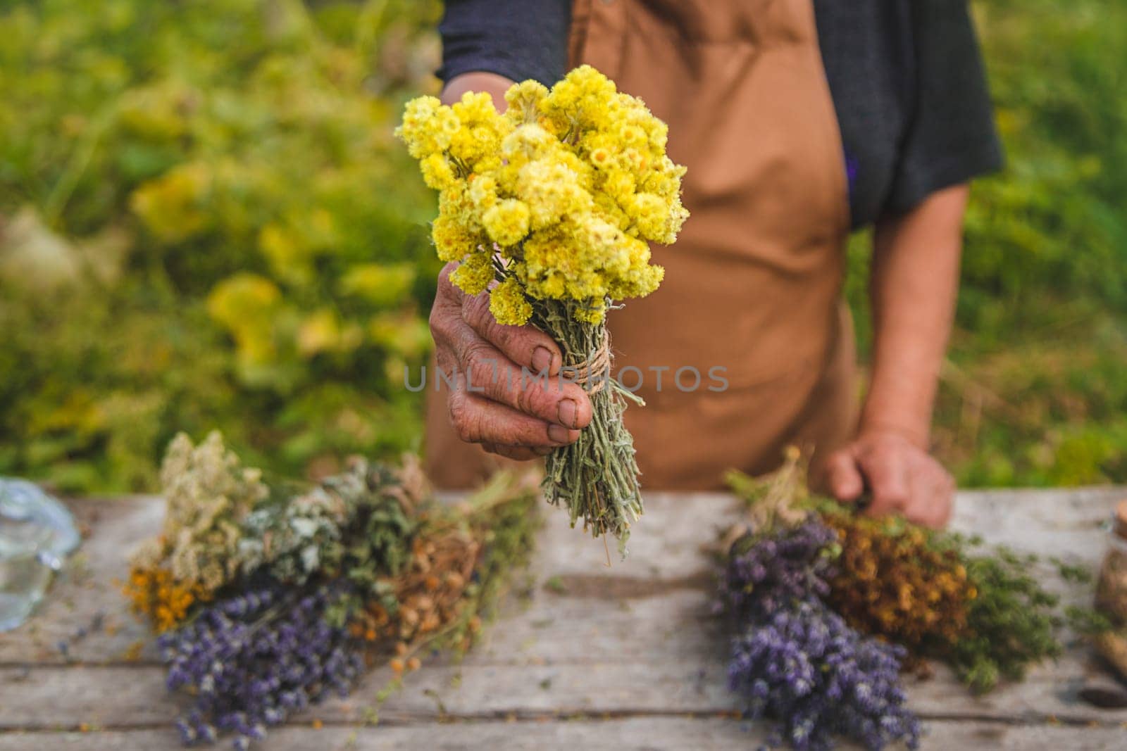 An elderly woman holds medicinal herbs in her hands. Selective focus. by yanadjana