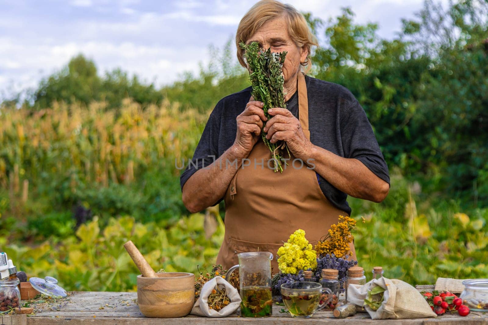 An elderly woman holds medicinal herbs in her hands. Selective focus. by yanadjana