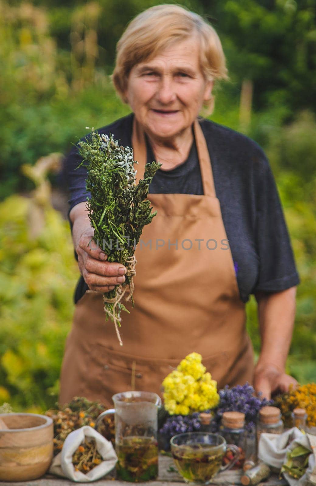 An elderly woman holds medicinal herbs in her hands. Selective focus. Nature.