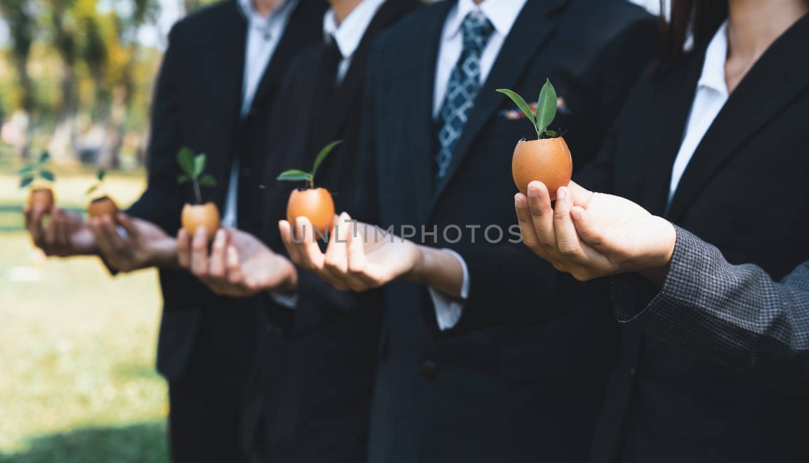 Group of business people holding repuposed eggshell transformed into fertilizer pot, symbolizing commitment to nurture and grow sprout or baby plant as part of a corporate reforestation project. Gyre