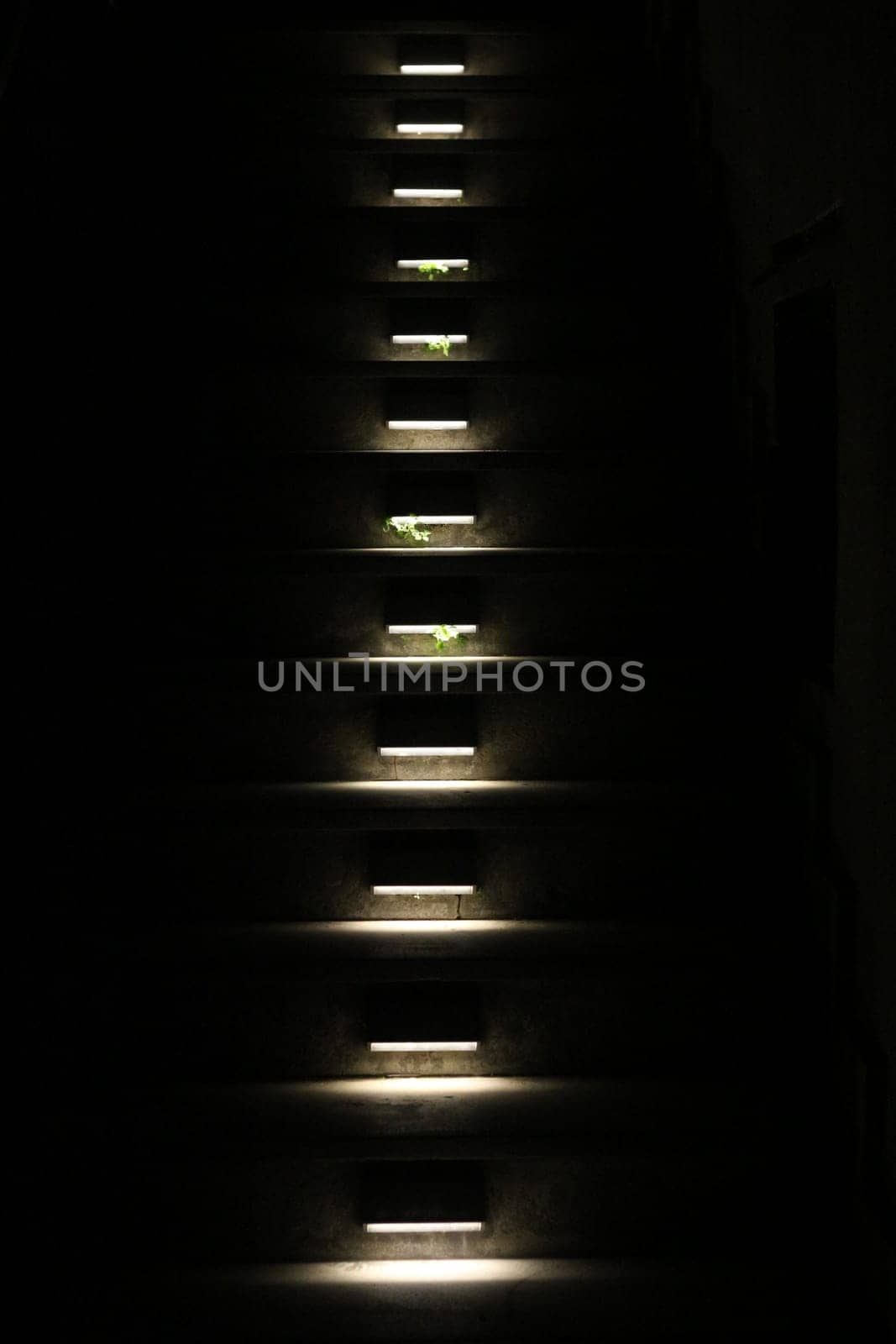 Stairway Luminescence: Guiding Lights in the Dark by DakotaBOldeman