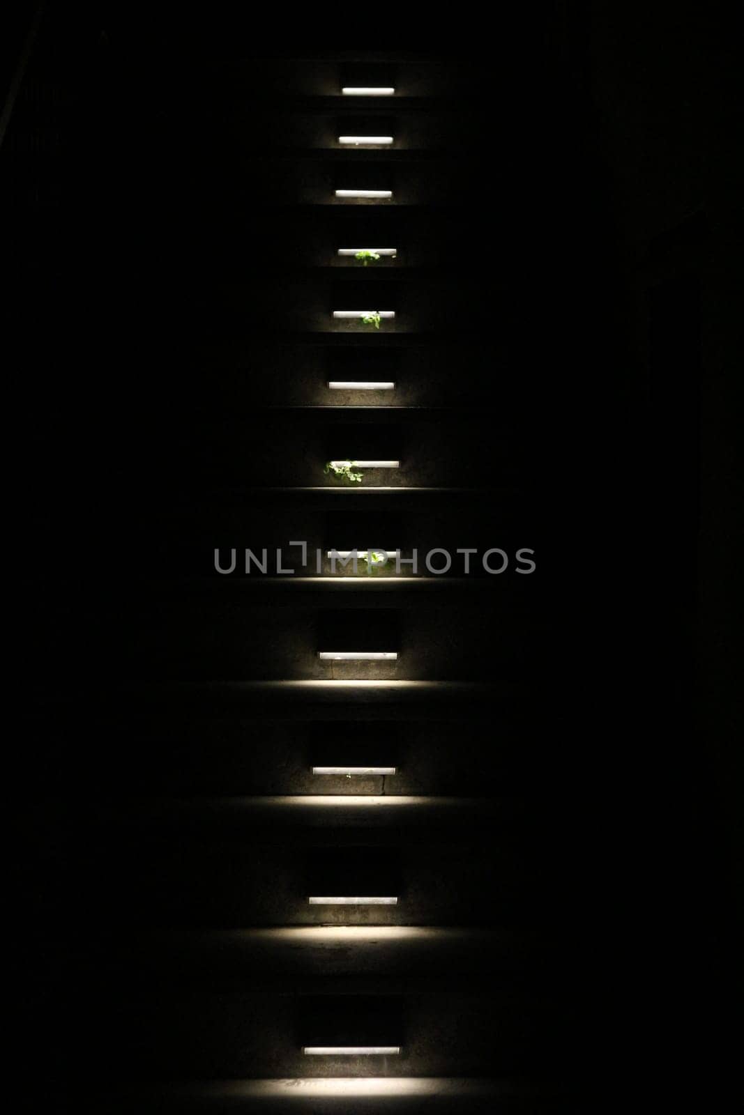 Stairway Luminescence: Guiding Lights in the Dark by DakotaBOldeman