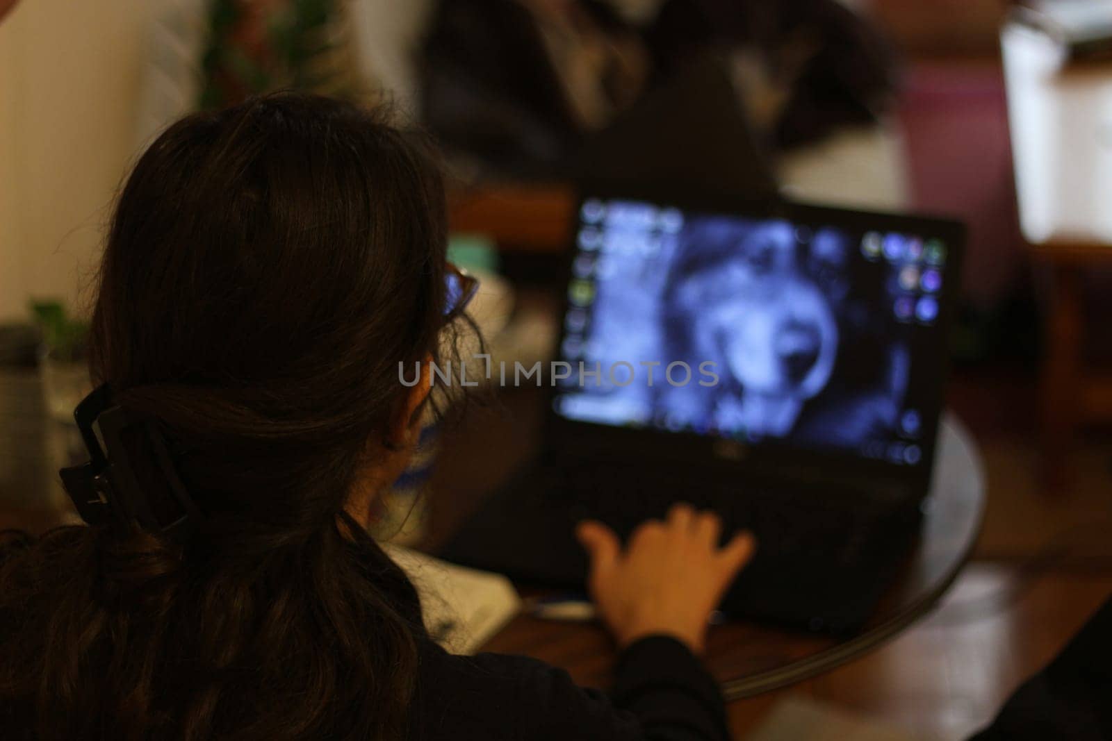 Empowered Productivity: Young Woman Engrossed in Laptop Work by DakotaBOldeman