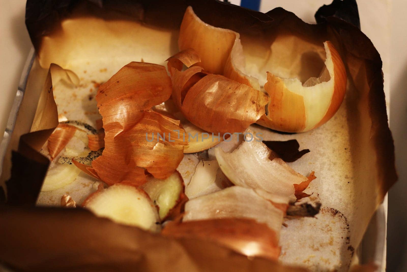 Natural Elegance: Macro View of Onion Peels by DakotaBOldeman