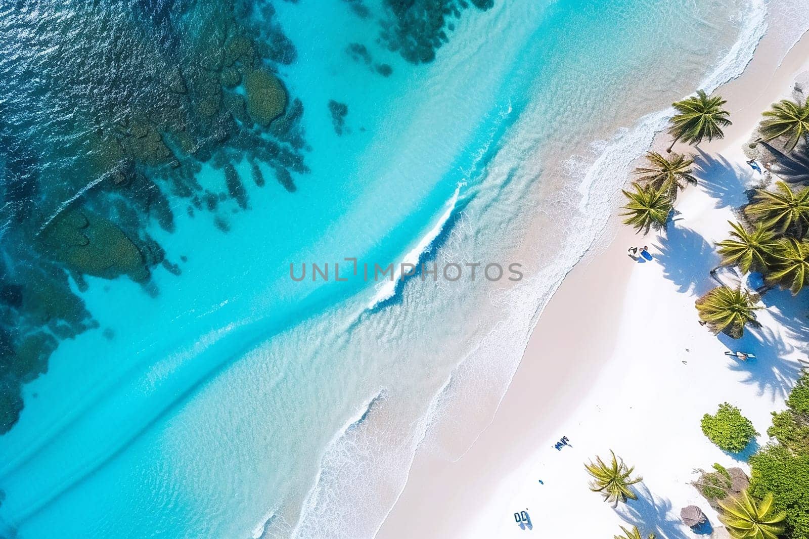 Aerial view of a tropical beach with clear blue waters and lush palm trees.
