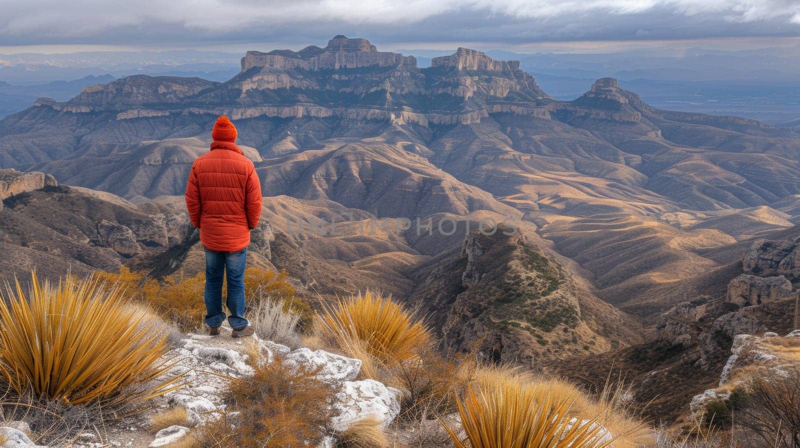 A man in red jacket standing on top of a mountain overlooking the desert