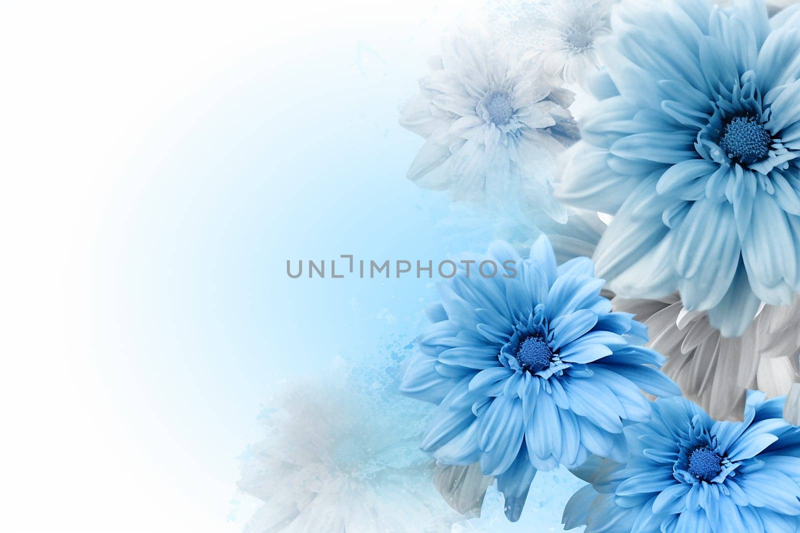 Light blue flowers bloom against a soft white background.