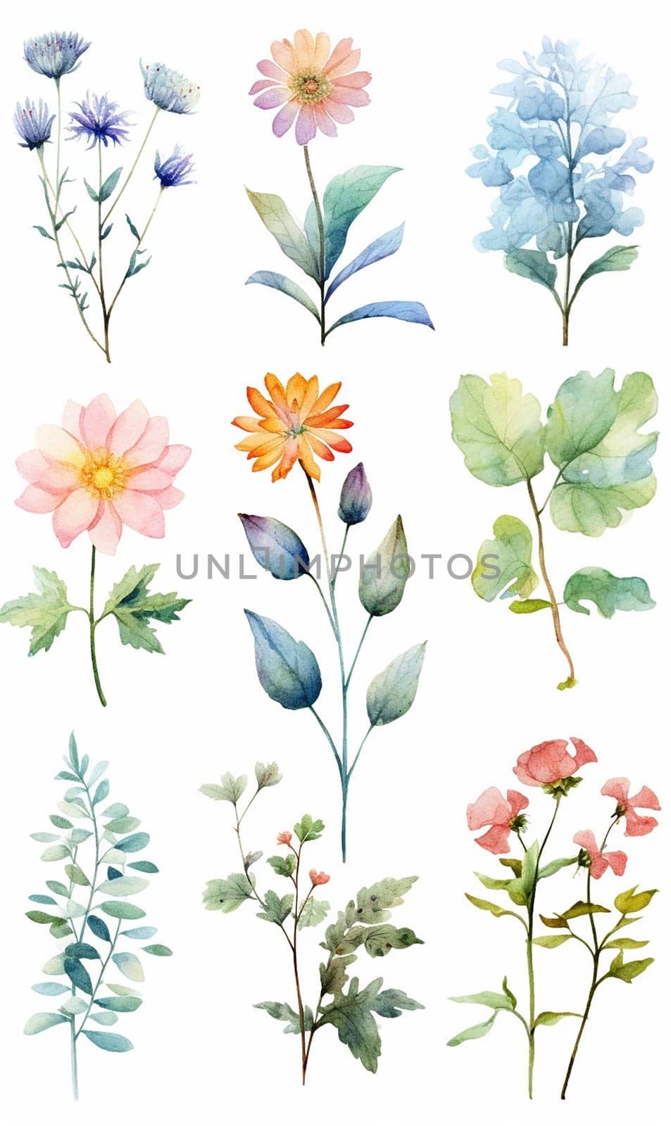 Collection of watercolor flowers in various colors and stages of bloom.