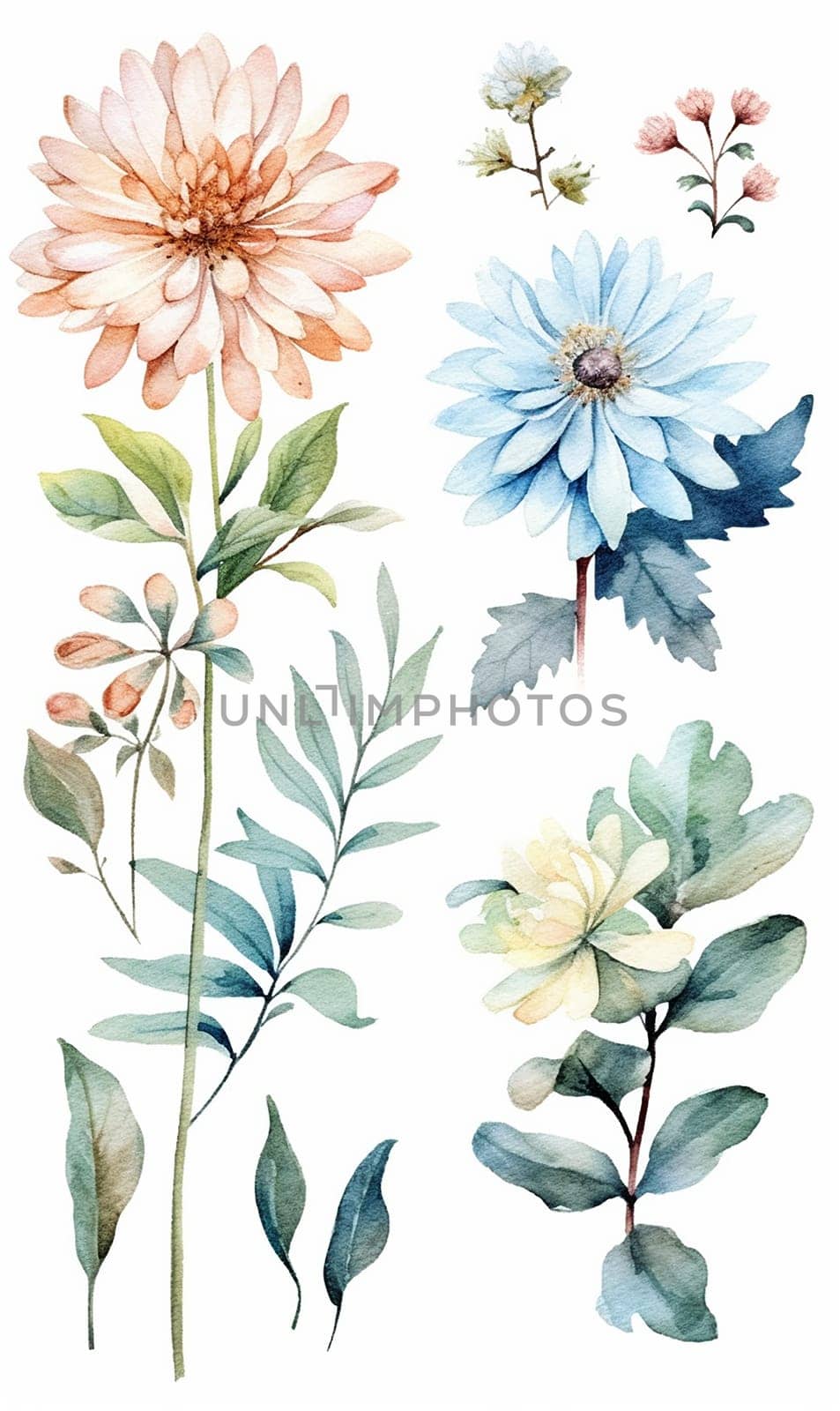 Watercolor illustrations of assorted flowers and foliage