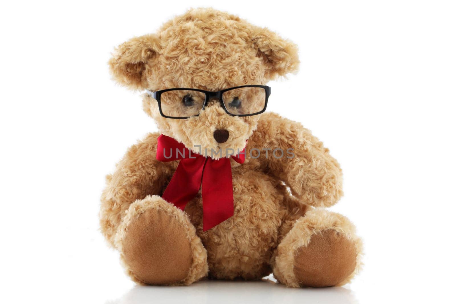 A Cute Teddy Bear with glasses