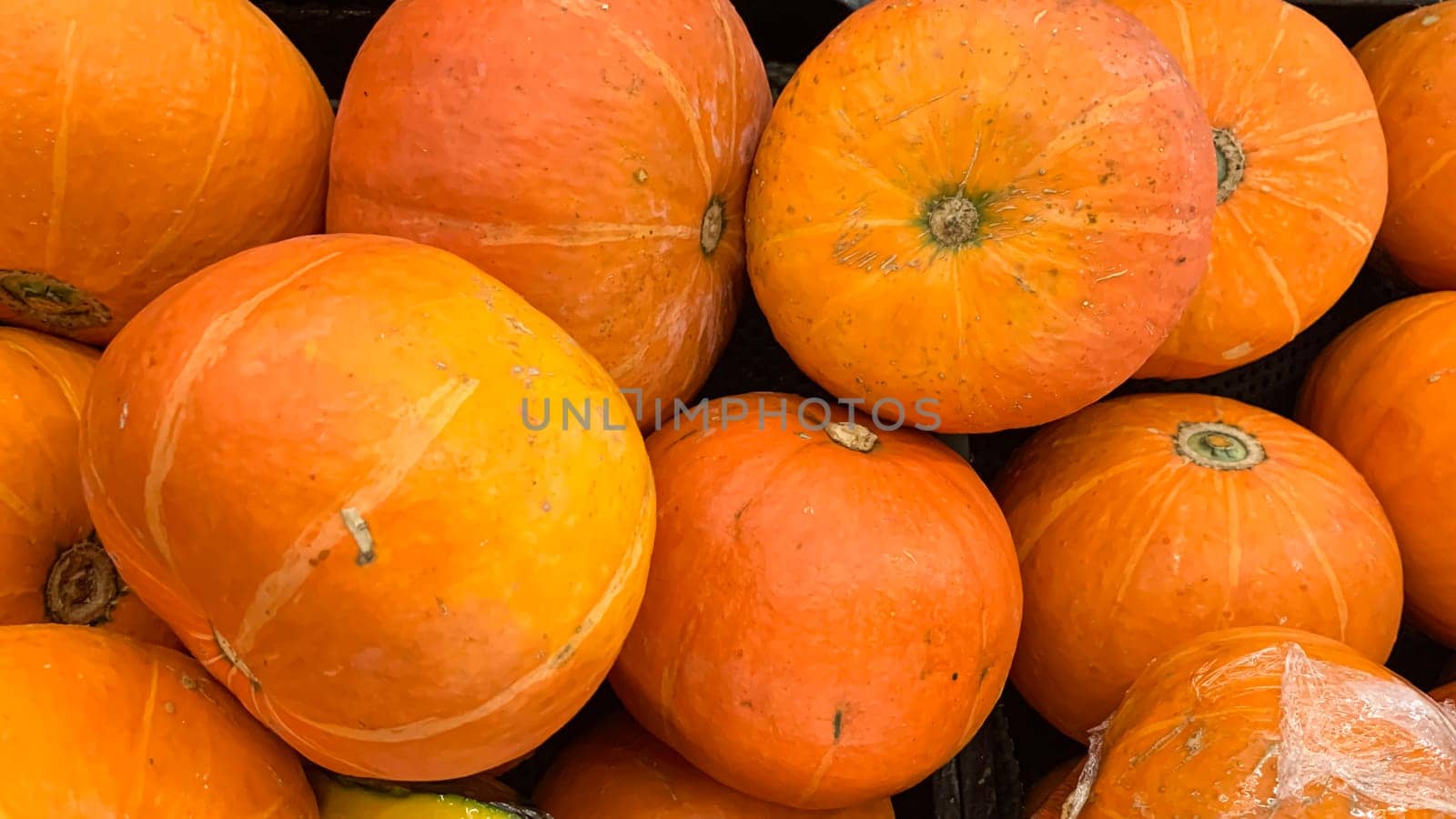 Decorative orange pumpkins on display at a farmers market in Java. Orange decorative pumpkin in the sun. Harvest and Thanksgiving concept.