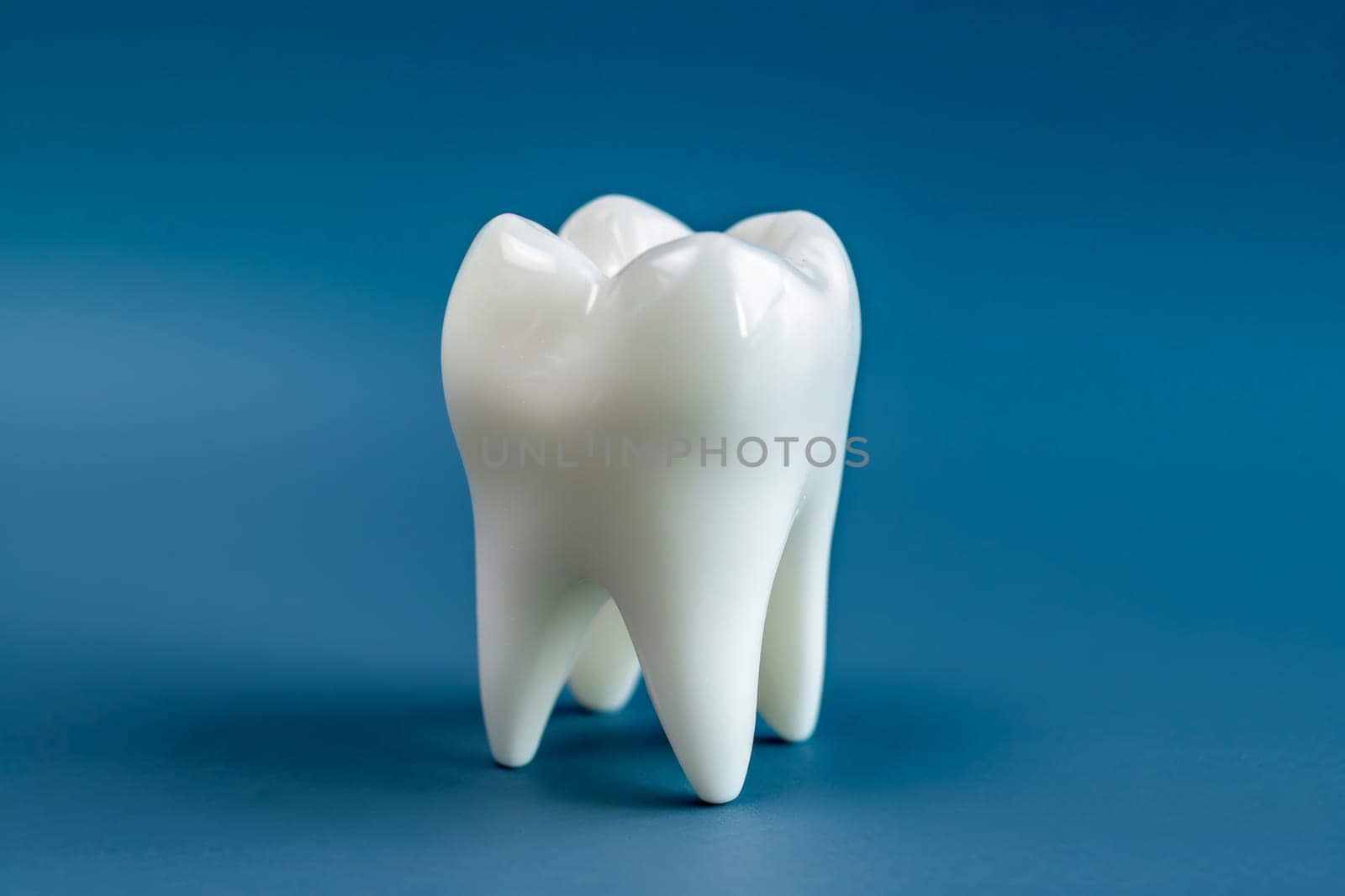 The tooth model is in front of a isolated background. Copy space, generative ai by matamnad
