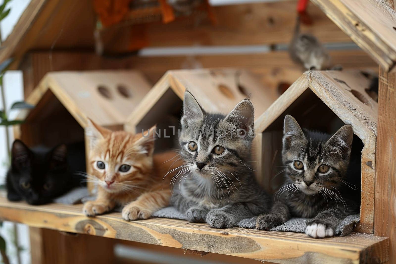 A group of cats are laying on a wooden structure by itchaznong