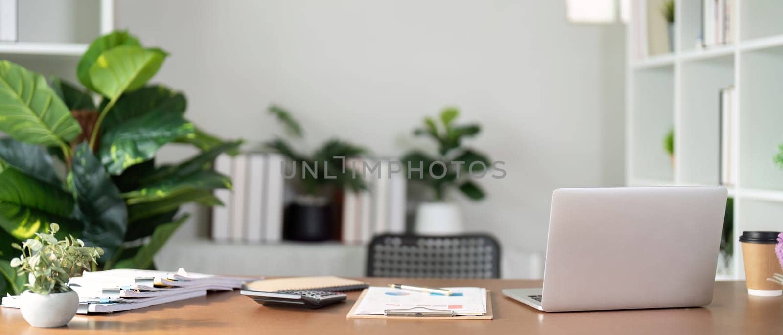 Empty workplace with desk and plant in office room, copy space. work from an atmospheric home office full of green plant.