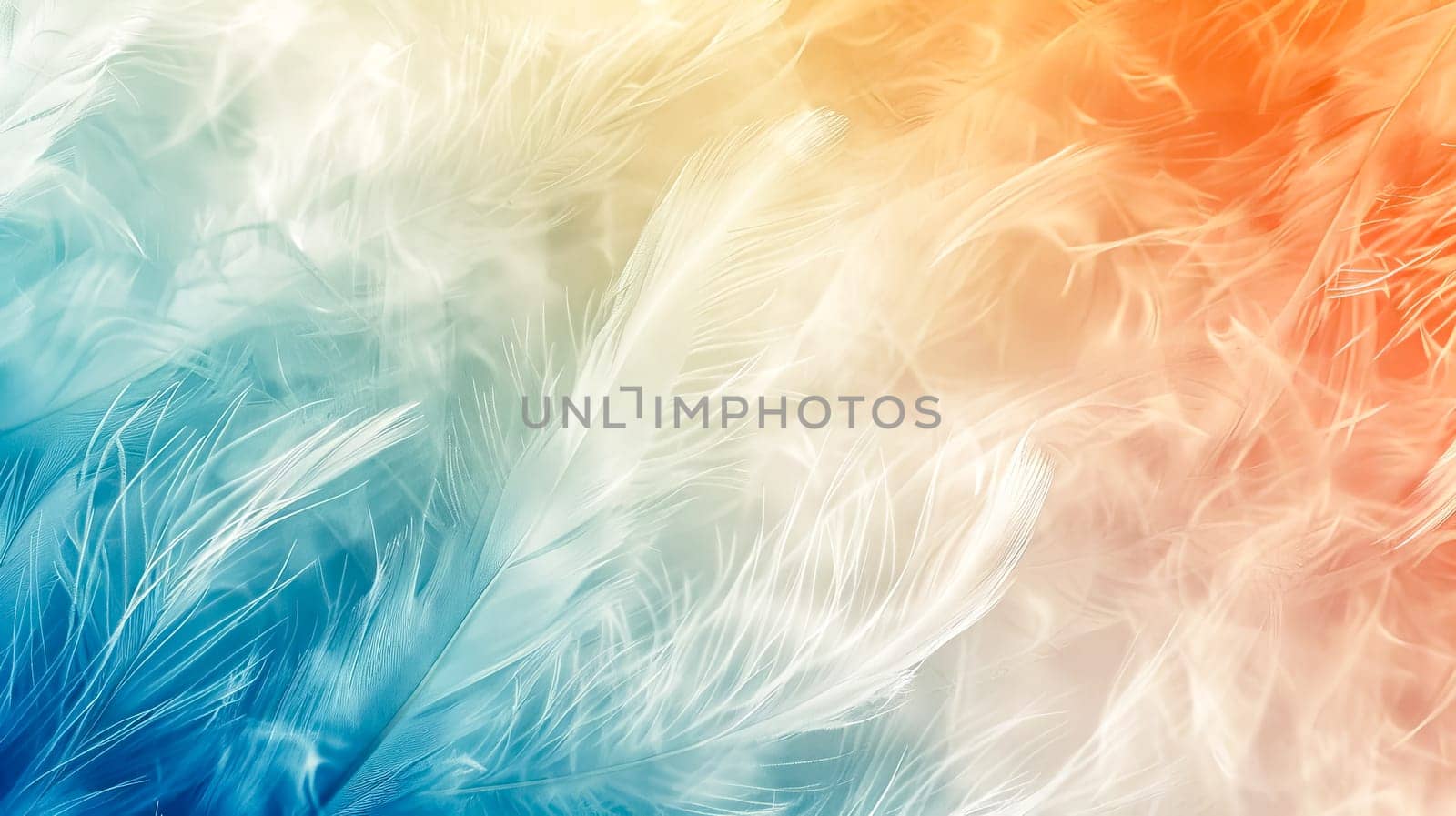 Vibrant and soft feathers in a close-up with a dreamscape quality by Edophoto