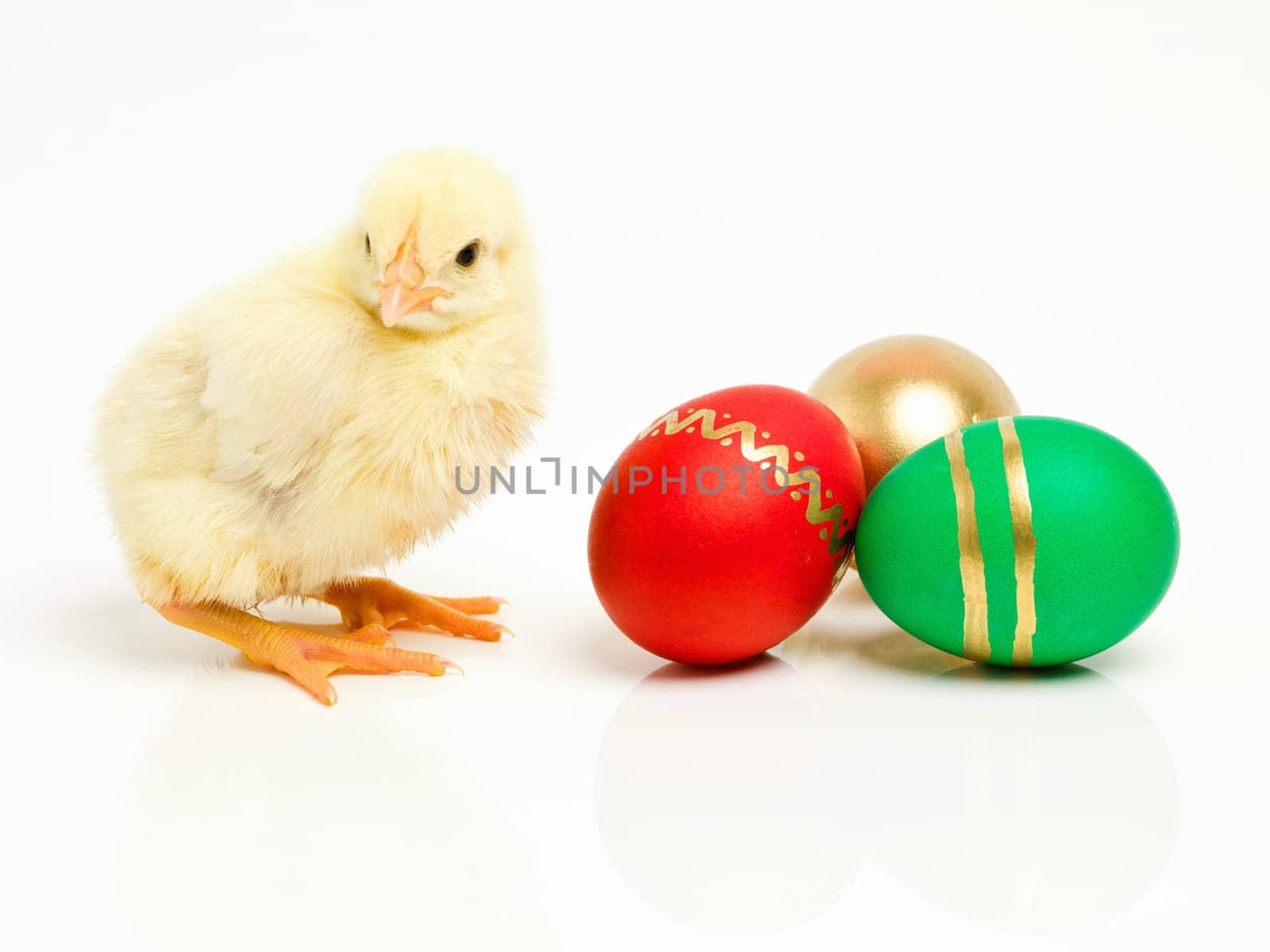 Chick, easter and chocolate eggs or sweets dessert on holiday for festive celebration, shell or traditional. Animal, young and unhealthy snack in studio white background for vacation, season or candy by YuriArcurs