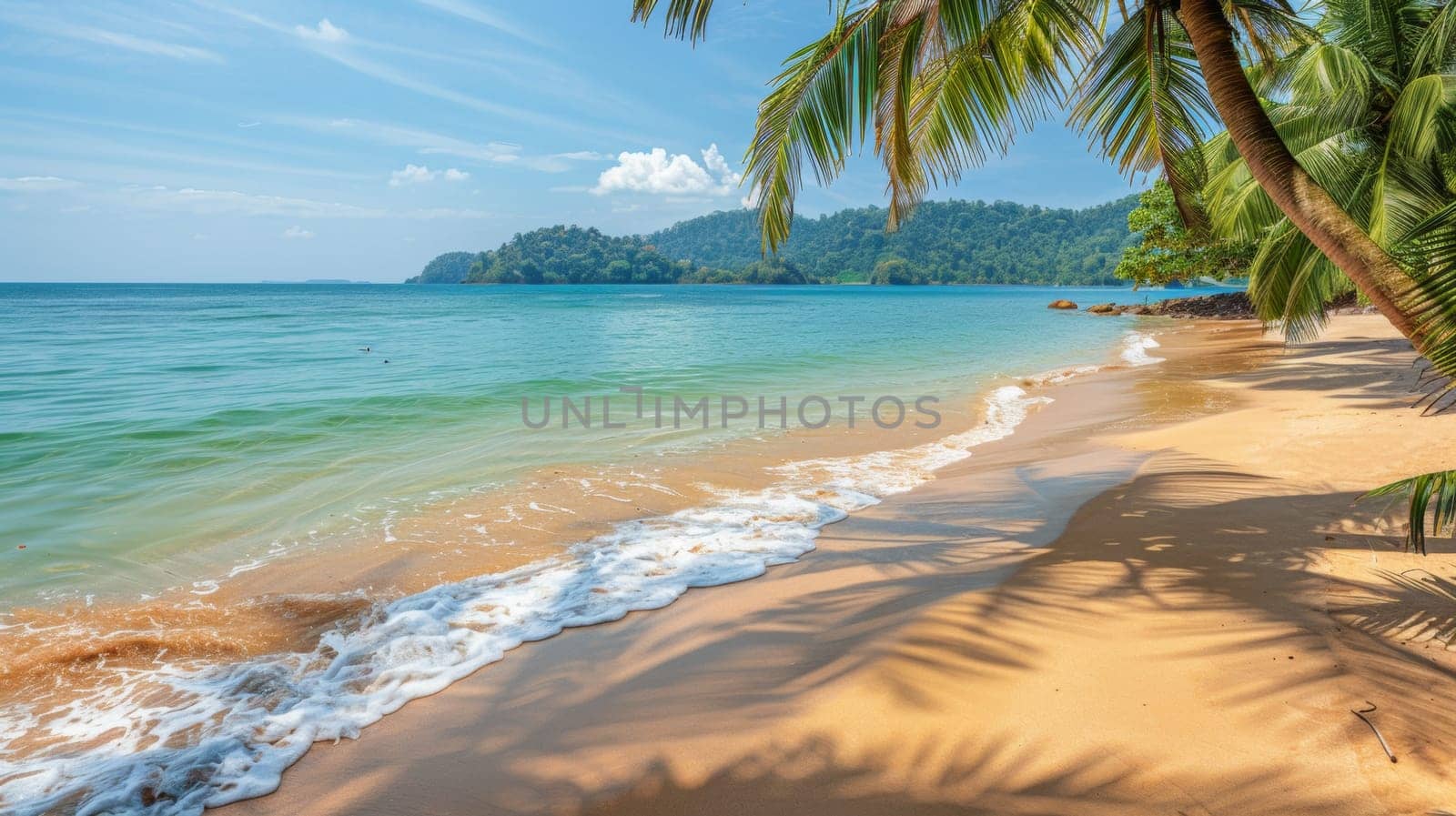 A beach with a palm tree and the ocean in front of it