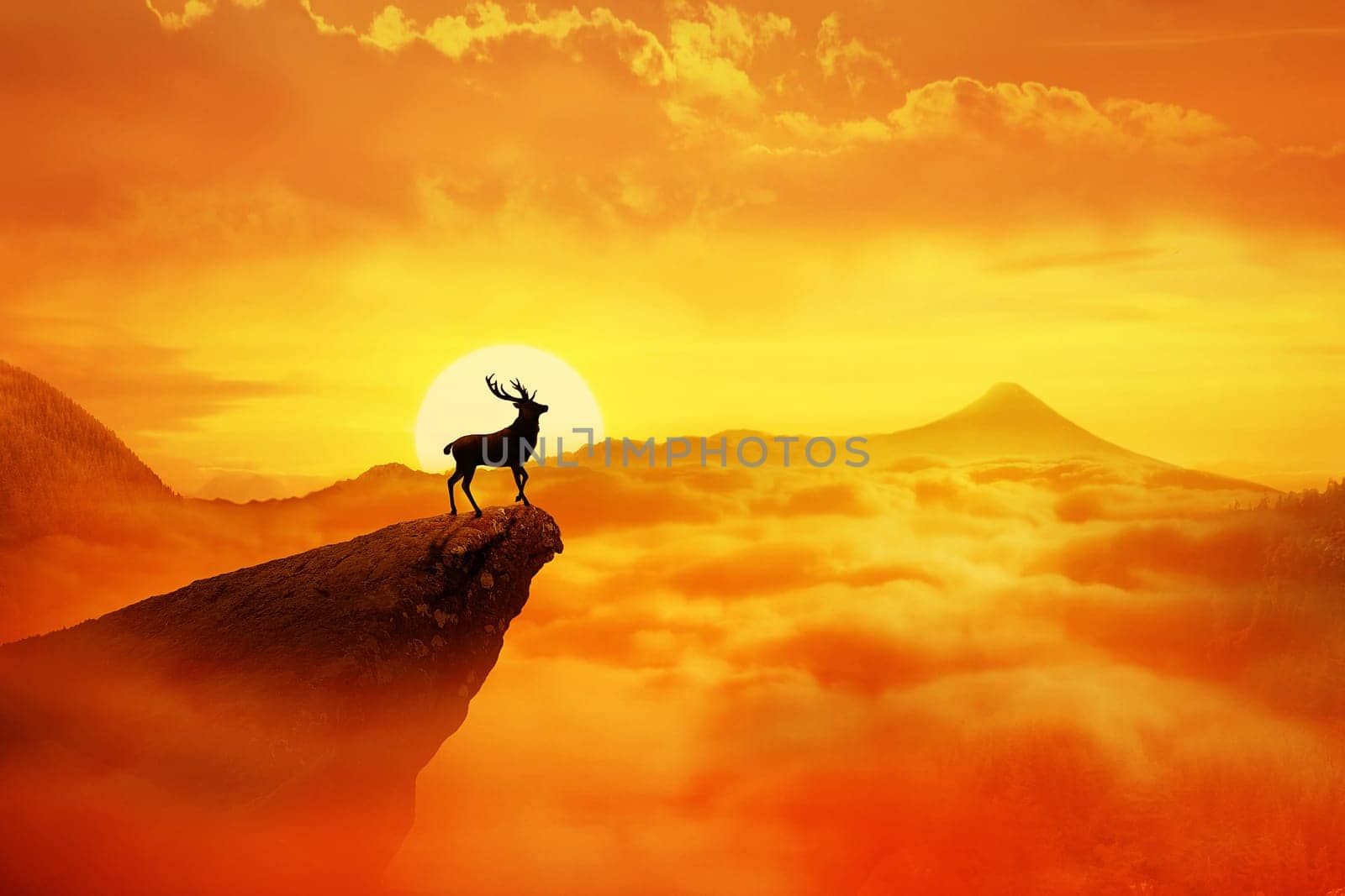 Silhouette of a lonely deer with long horns standing on a cliff against orange sunset. Dusk sky over the clouds in the mountains. Wild life landscape scene screen saver