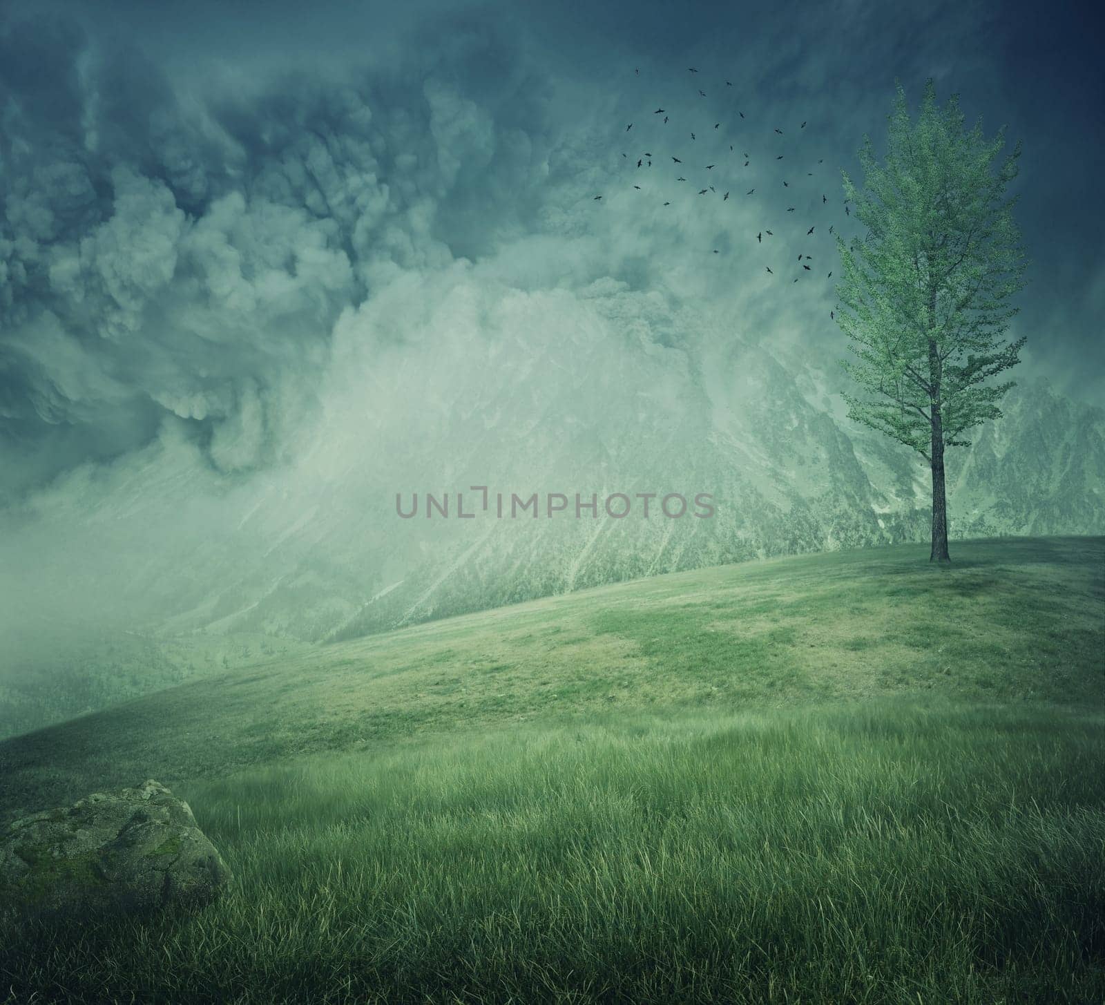 Mystycal mountain landscape with misty hills, green grass and a lone tree on the top. Beautiful and fresh background.