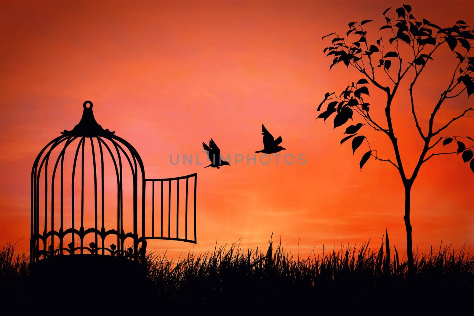 Birds couple escaping from the cage. Freedom concept. Released to nature