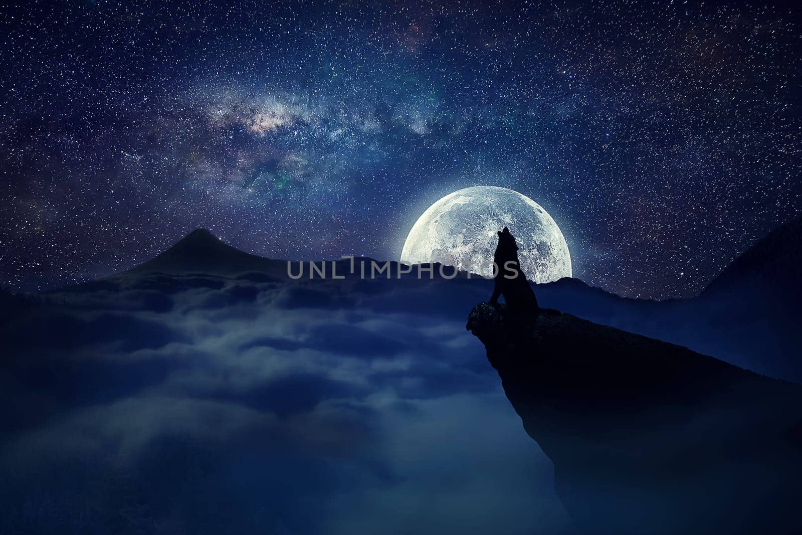 Silhouette of a lonely wolf  standing on a cliff  howling to the full moon. Starry sky over the clouds in the mountains. Wild life landscape scene screen saver.