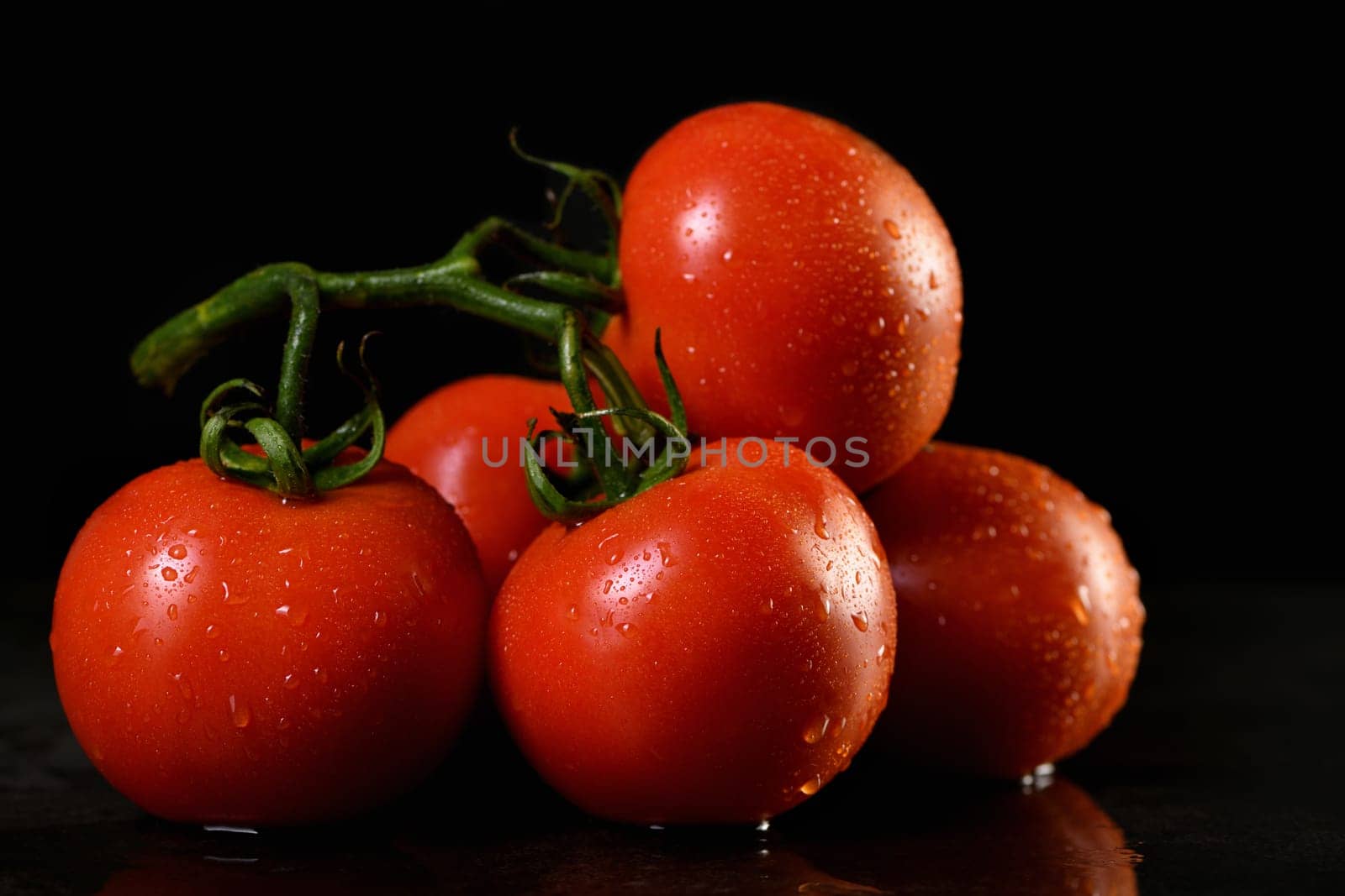 Fresh ripe red tomato branch with water drops on a dark background . Close-up. Horizontal photo. Poster for vegetable market or shop.