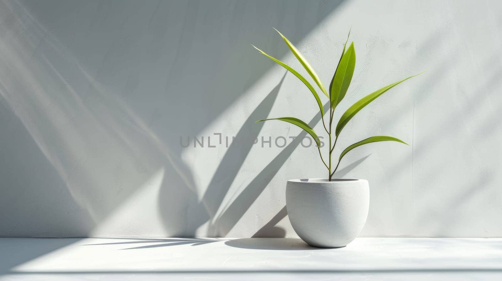 A white vase with a plant in it on the wall, AI by starush