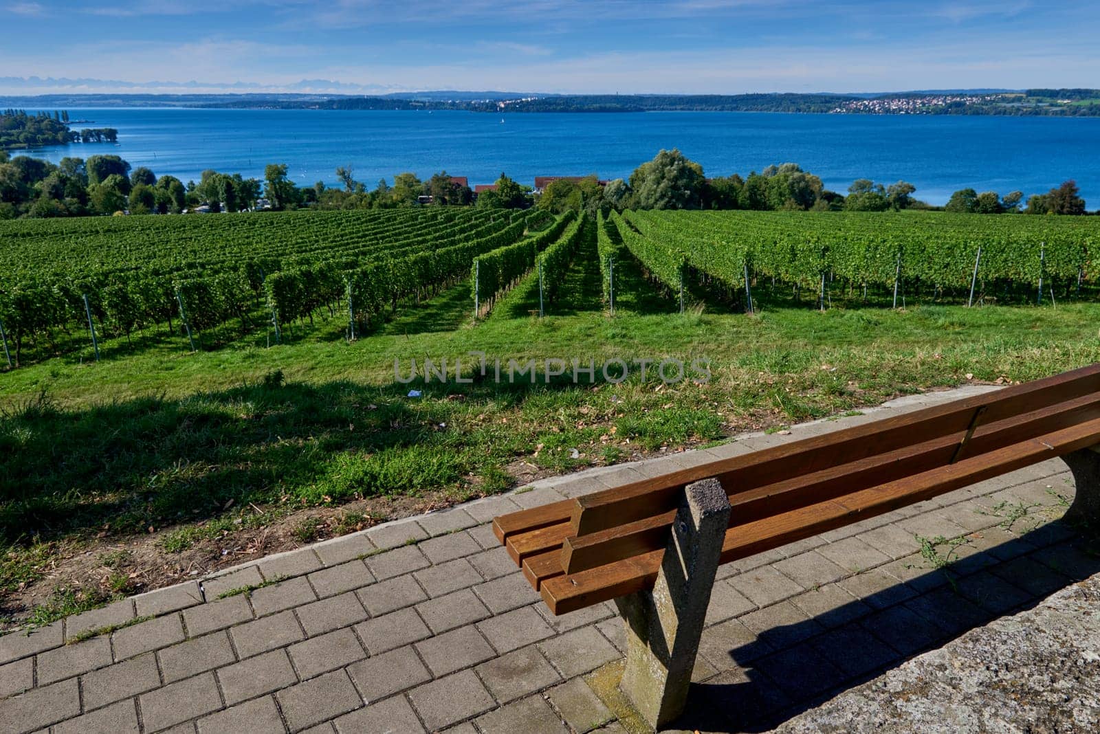 Bench Amidst Vineyards, Overlooking a Mountain Lake and Peaks. Resting Bench with Grapevines, Mountain Lake, and Distant Peaks. Nature's Vista: Tranquil Bench on Hillside, Framing Mountain Lake and Majestic Peaks. Panoramic Perch: Hilltop Bench with Vineyard Views and a Mountainous Backdrop. Serenity Spot: Relaxing Bench on Hillside, Offering a View of Mountains and a Lake by Andrii_Ko