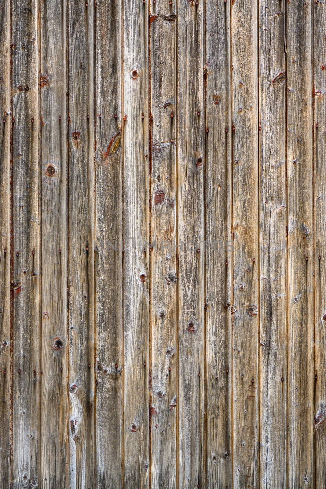 Background made of a textured old wood 6 by Mixa74