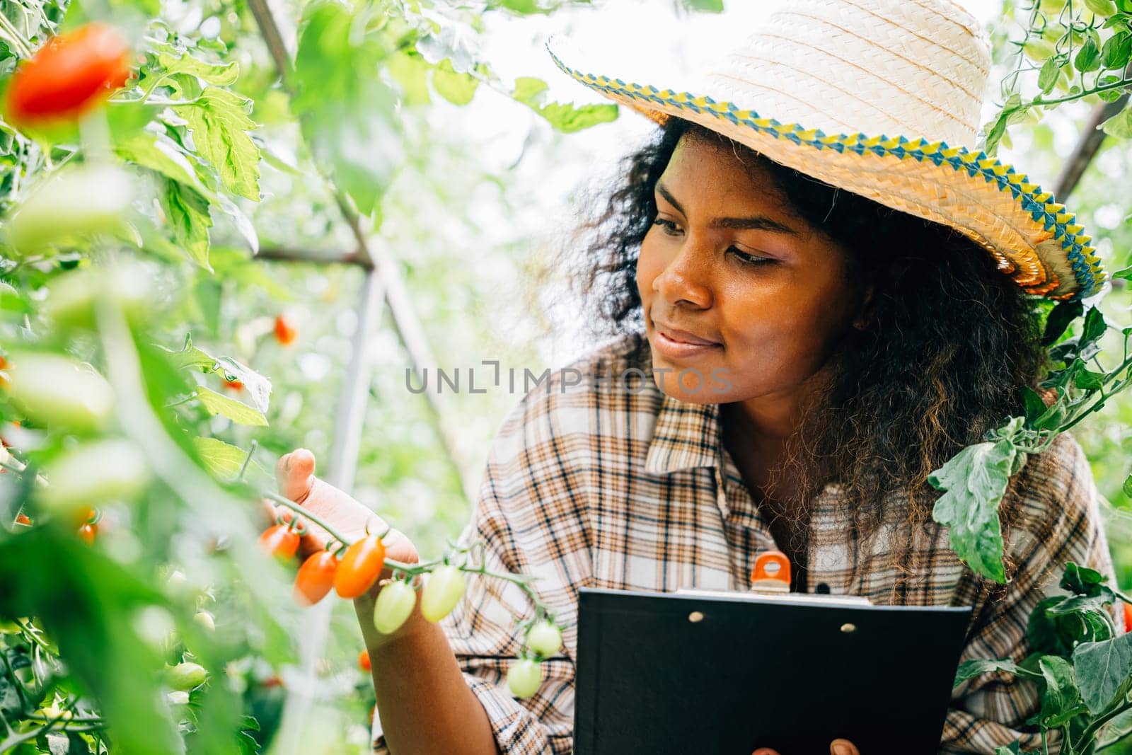 agronomist in a greenhouse serves as a quality inspector and farmer carefully examining cherry tomatoes taking notes on a clipboard by Sorapop