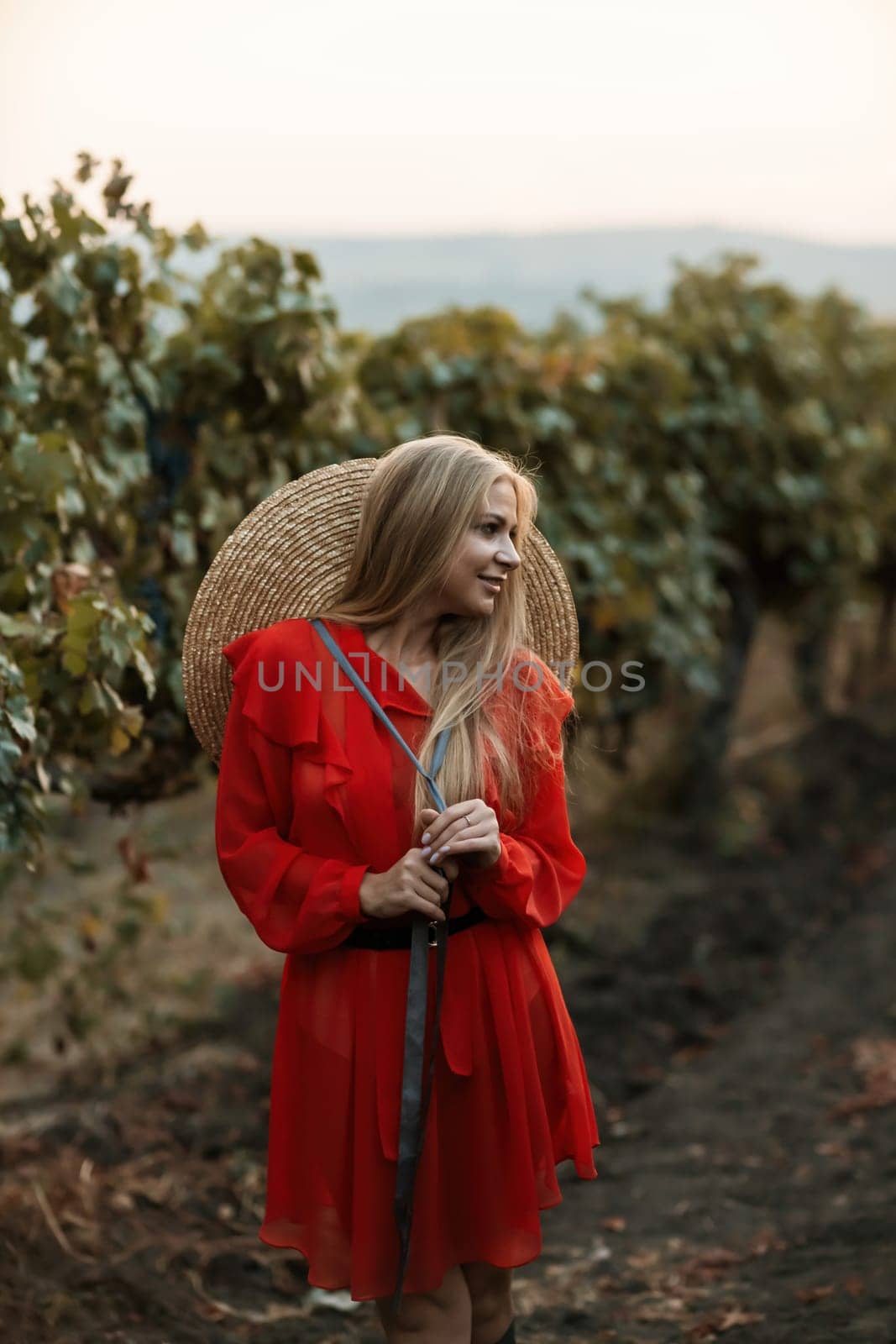 portrait of a happy woman in the summer vineyards at sunset. woman in a hat and smiling. by Matiunina