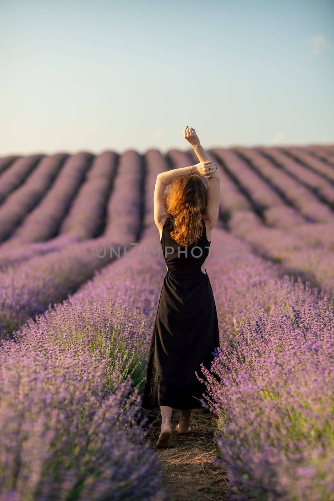 Back view woman lavender sunset. Happy woman in black dress. Aromatherapy concept, lavender oil, photo session in lavender by Matiunina