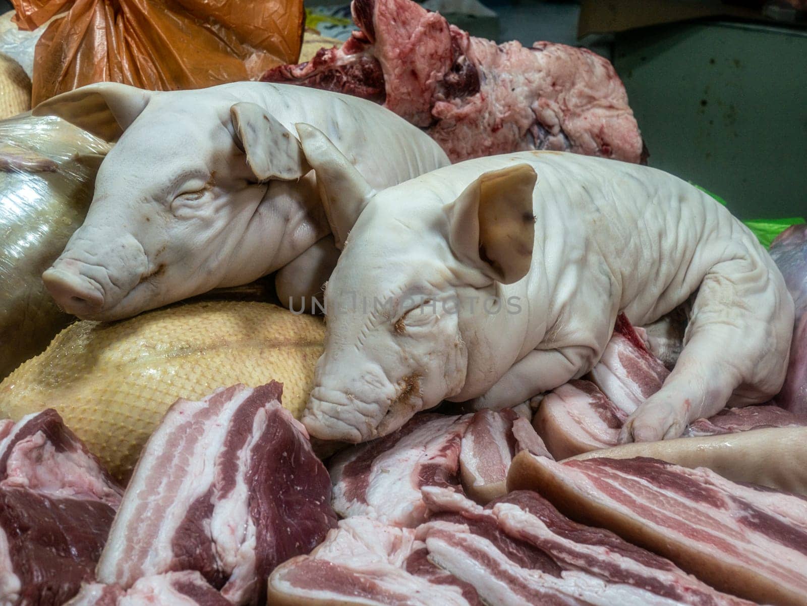 Two pig on the counter in the market. The meat Department in the store. color nature by lempro