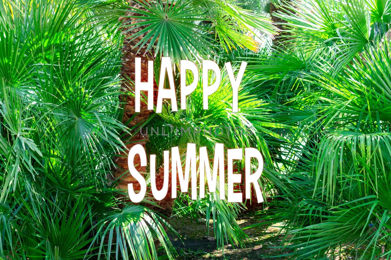 Happy Summer Embraces You in the Lush Greenery of Vibrant Gardens by darksoul72