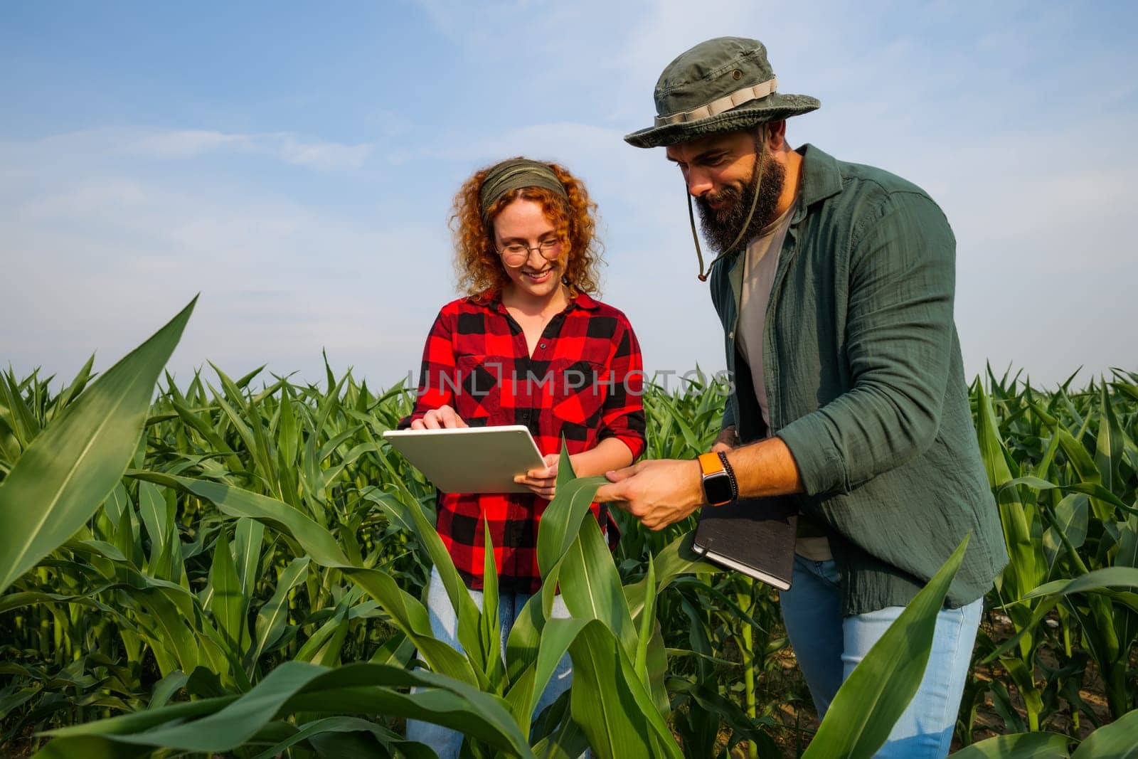 Portrait of farmers who are cultivating corn. They are examining progress of the plants. Agricultural occupation.