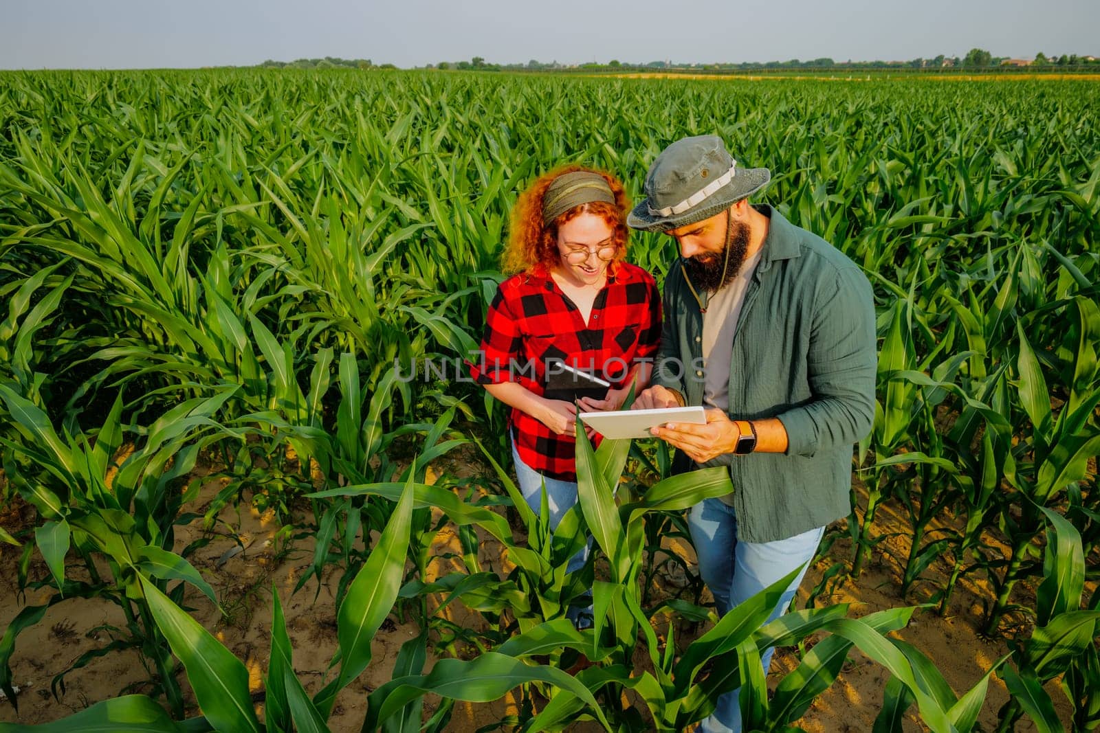 Portrait of farmers who are cultivating corn. They are examining progress of the plants. Agricultural occupation.