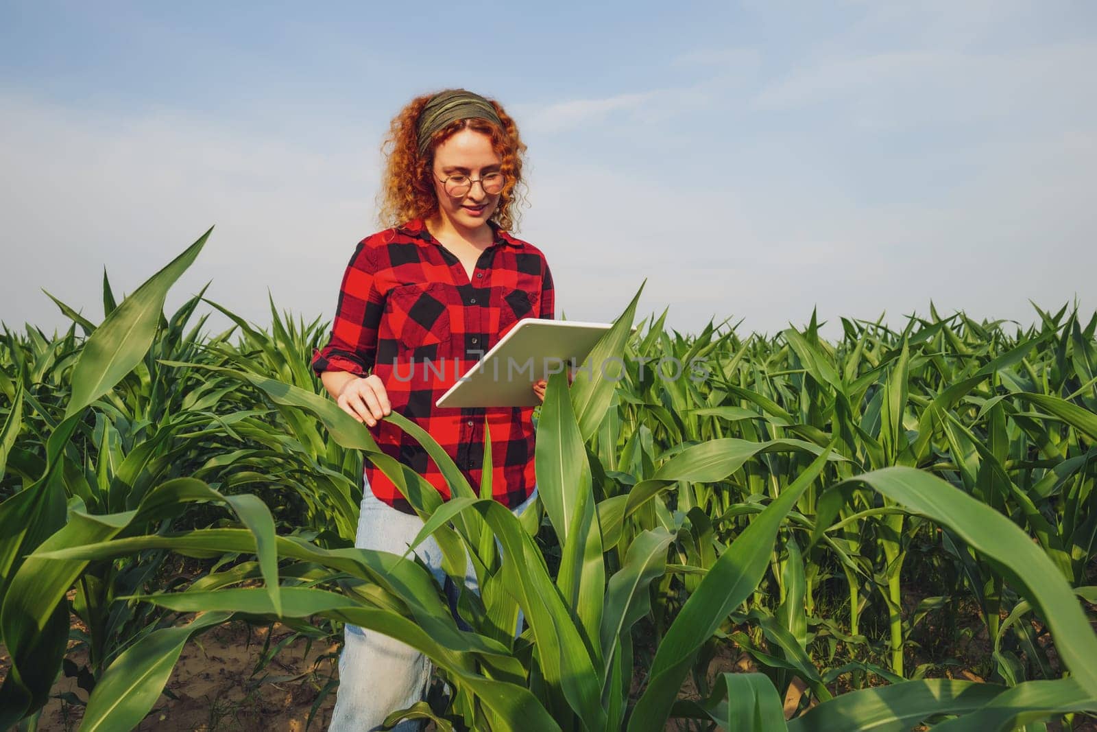 Portrait of female farmer who is cultivating corn. She is examining progress of plants. Agricultural occupation.