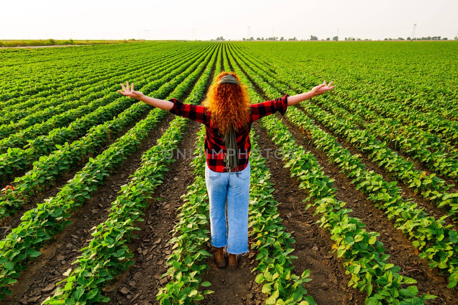 Portrait of female farmer who is cultivating soybean. She is satisfied with good progress of plants. Agricultural occupation.