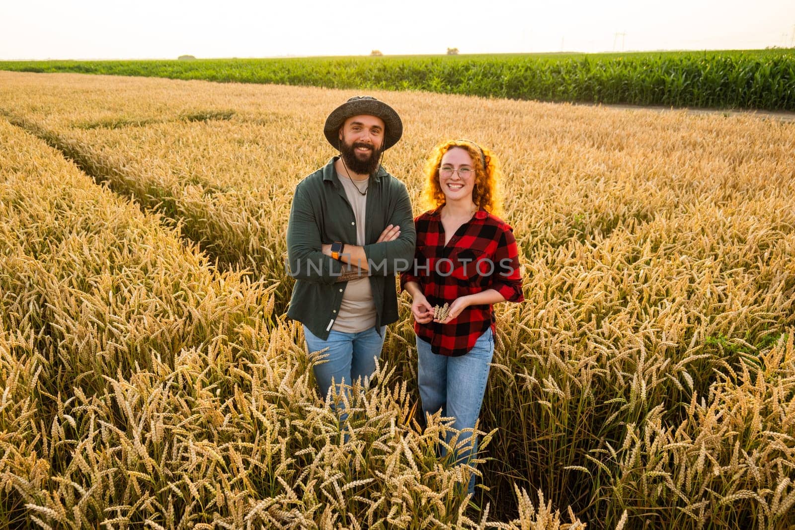 Family agricultural occupation. Man and woman are cultivating wheat. They are satisfied with good progress of plants.