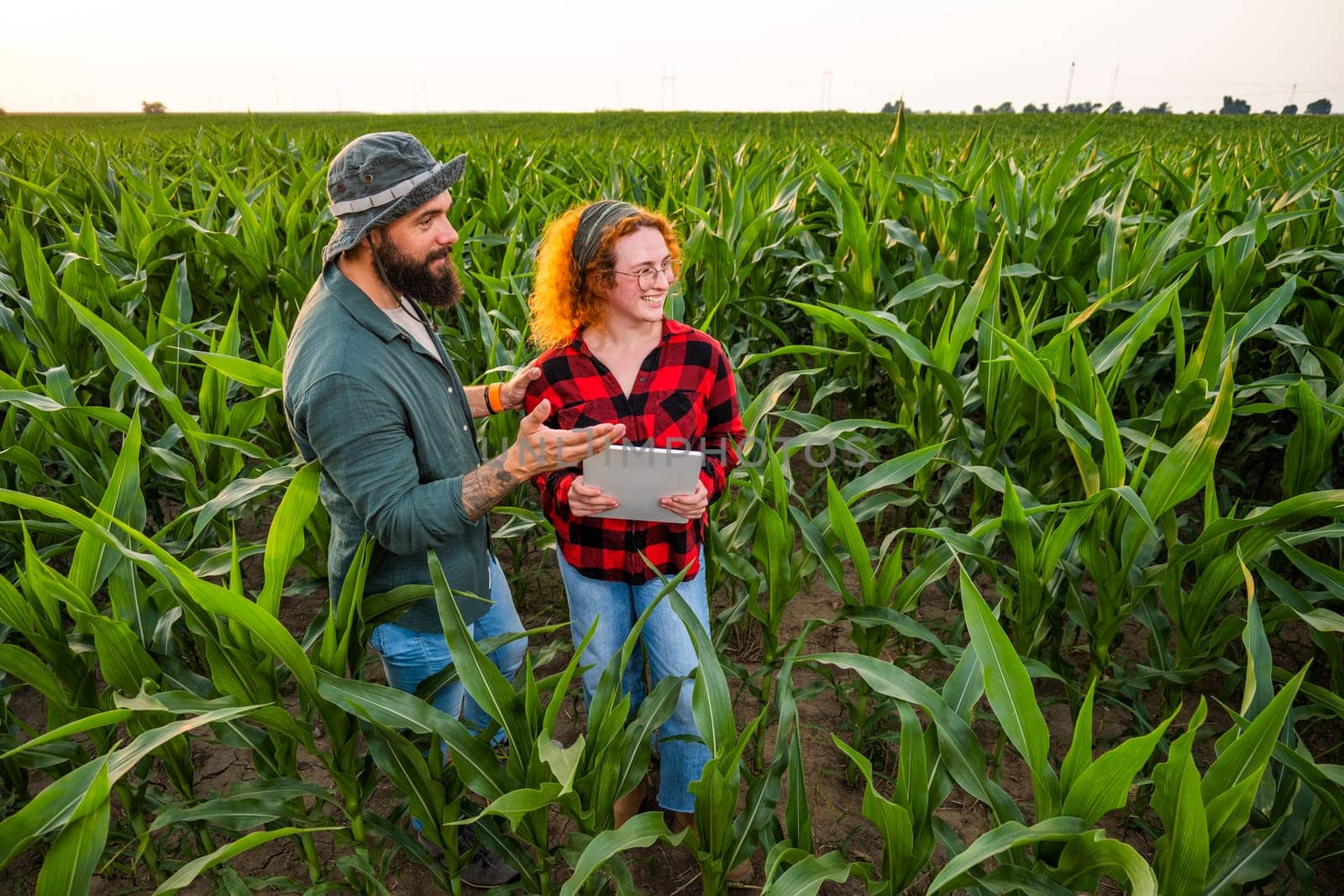 Family agricultural occupation. Man and woman are cultivating corn. They are satisfied with good progress of plants.