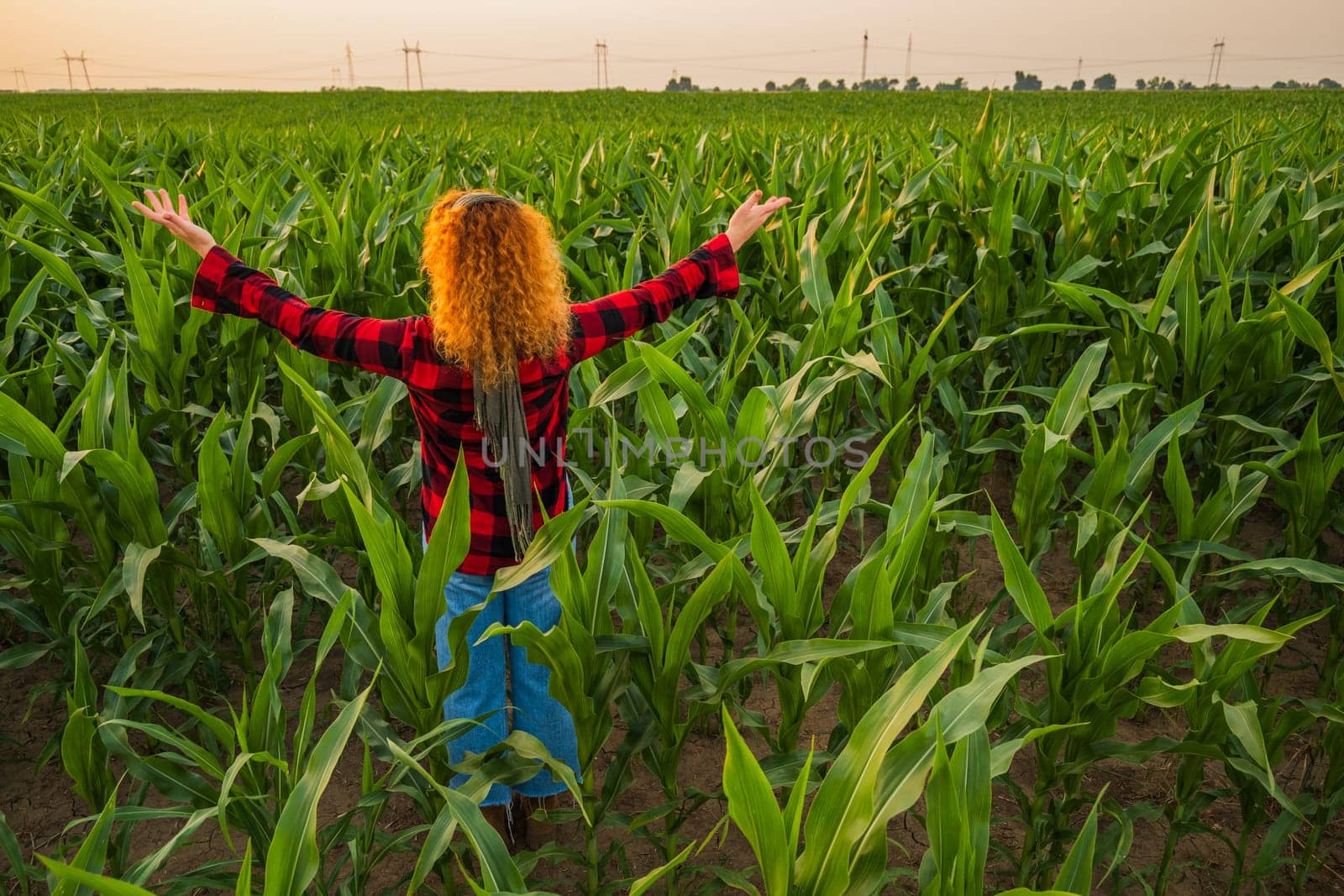 Portrait of female farmer who is cultivating corn. She is satisfied with good progress of plants. Agricultural occupation.