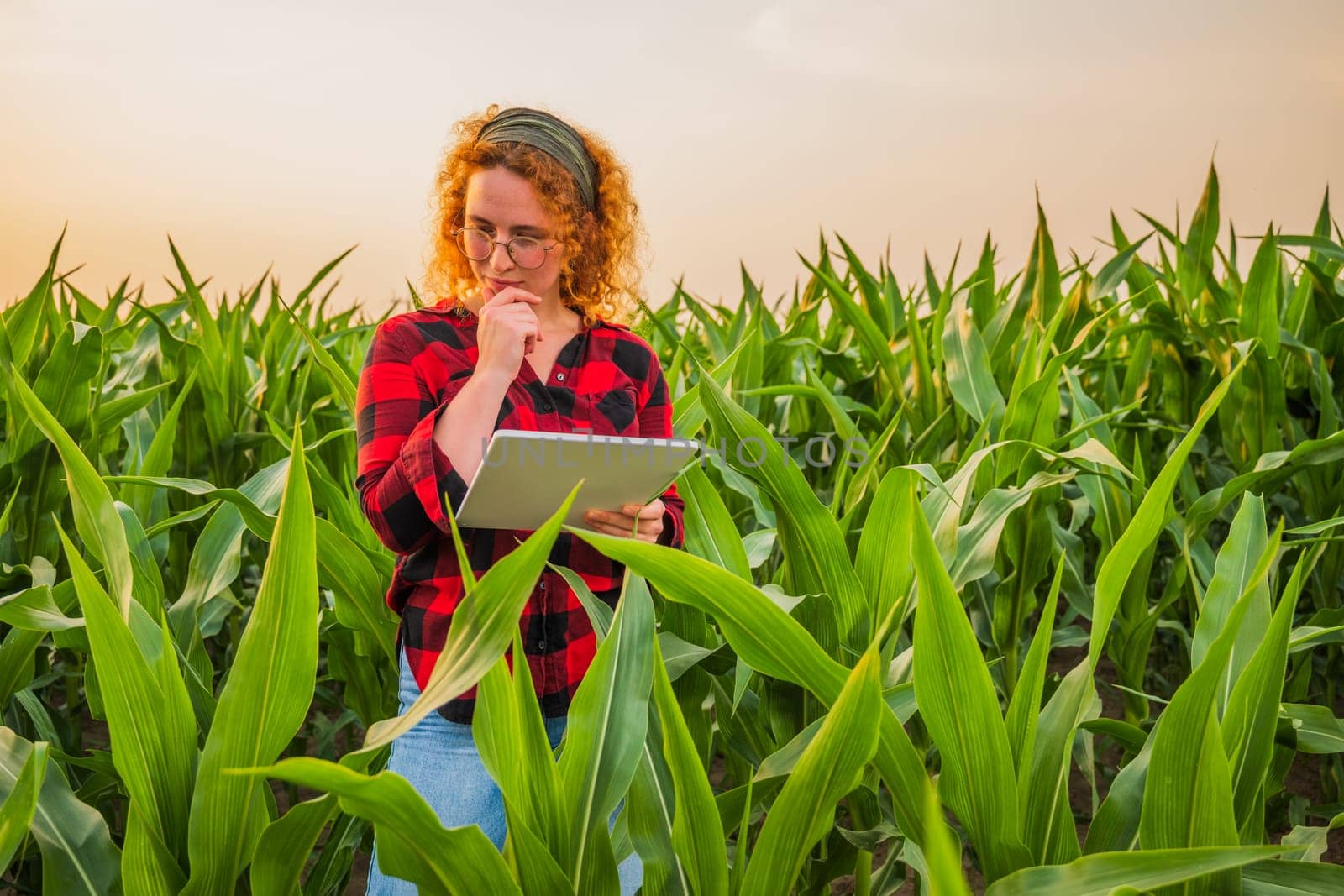 Portrait of female farmer who is cultivating corn. She is satisfied with good progress of plants. Agricultural occupation.