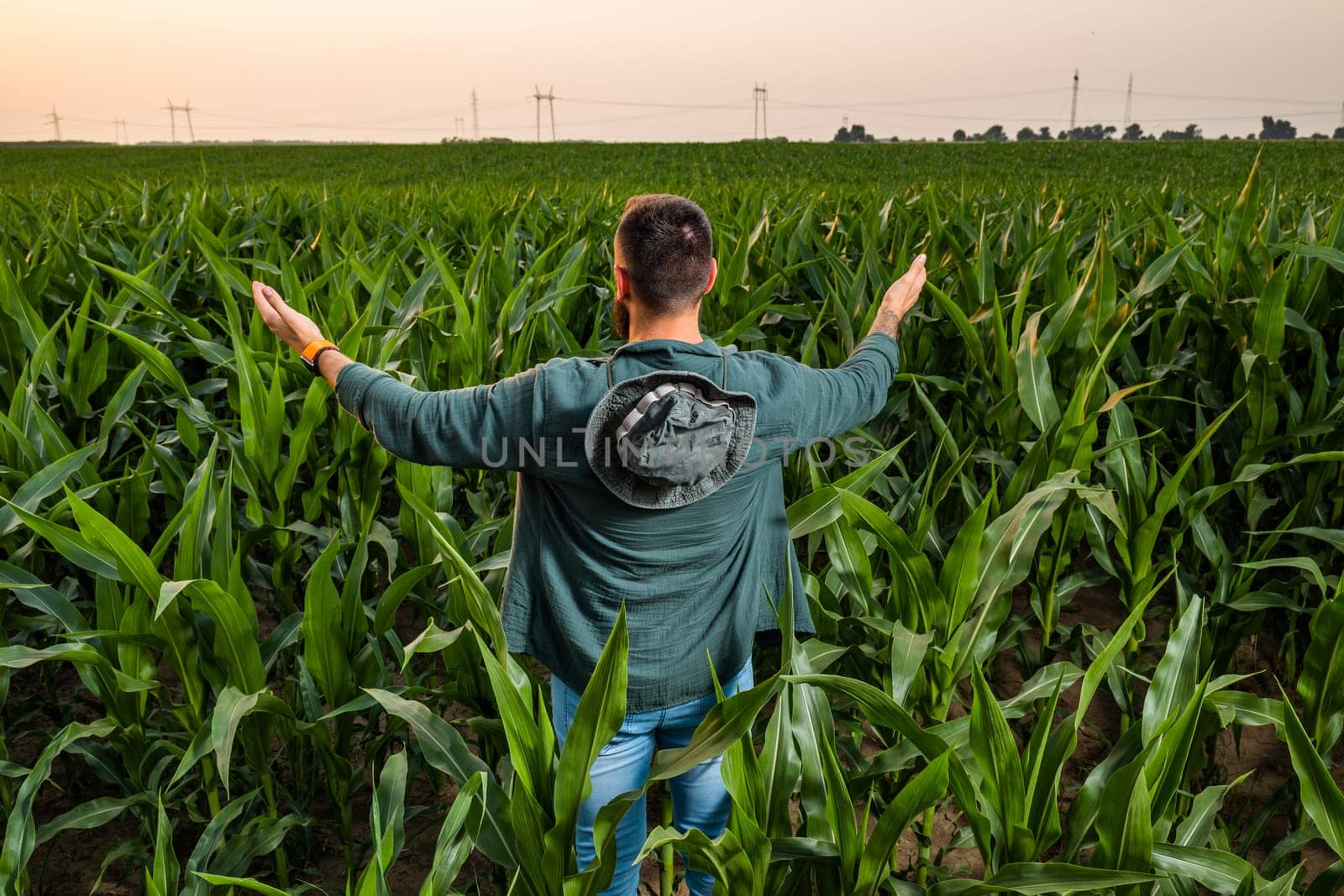 Portrait of farmer who is cultivating corn. He is satisfied with good progress of plants. Agricultural occupation.