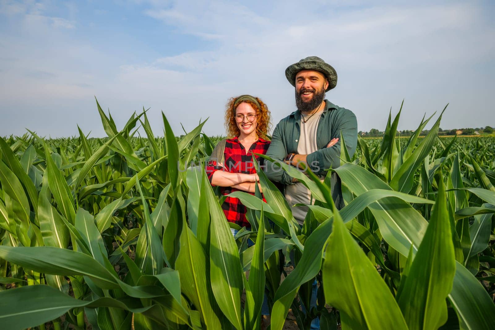 Family agricultural occupation. Man and woman are cultivating corn. They are satisfied with good progress of plants.