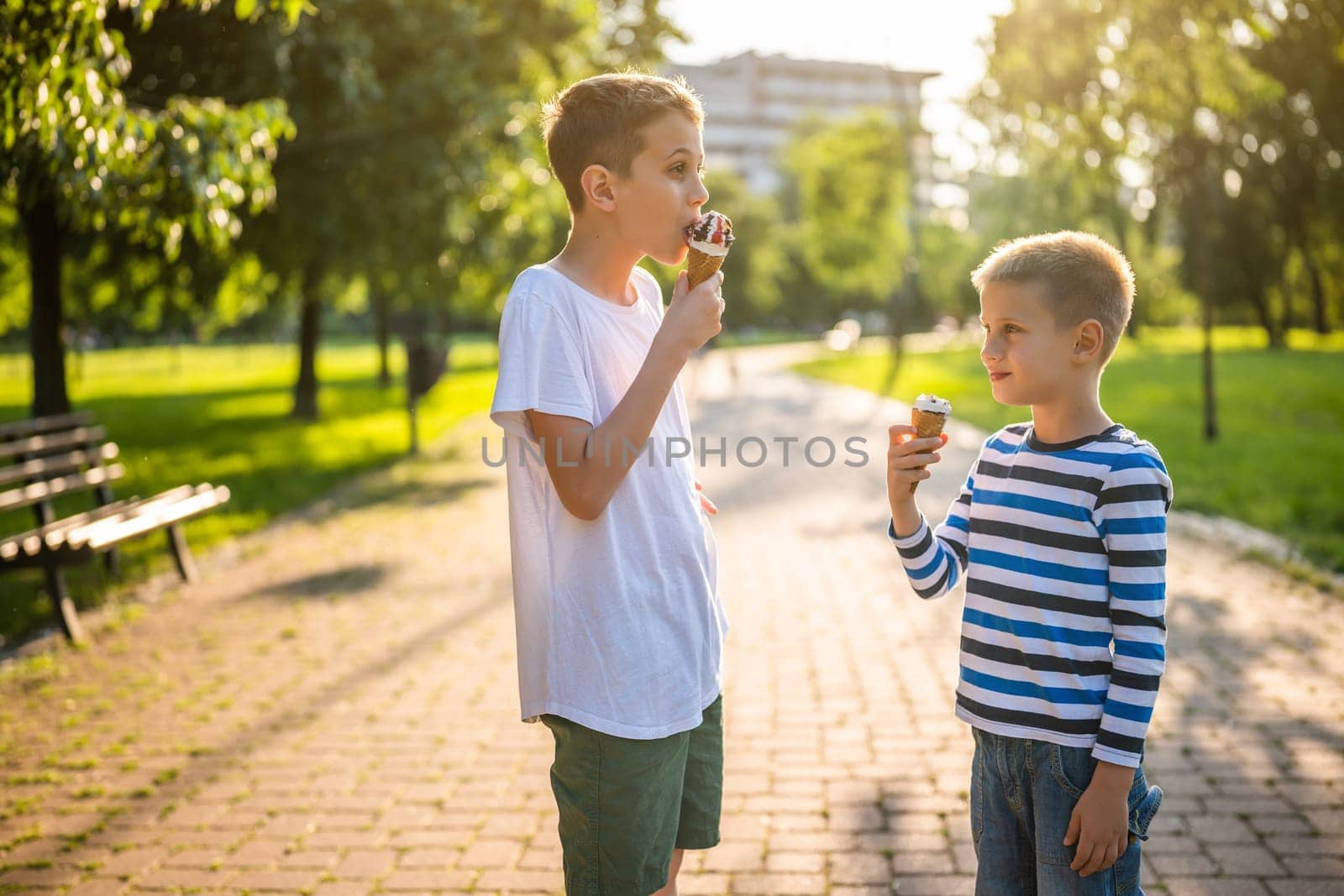 Two brothers are eating ice cream in park in summer.