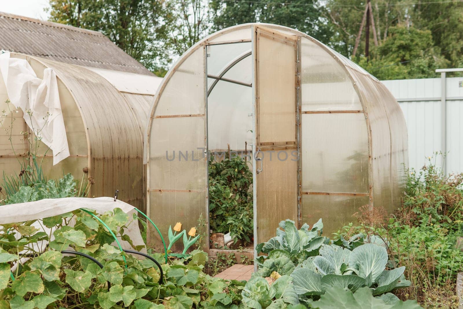 Large greenhouses for growing homemade vegetables. The concept of gardening and life in the country