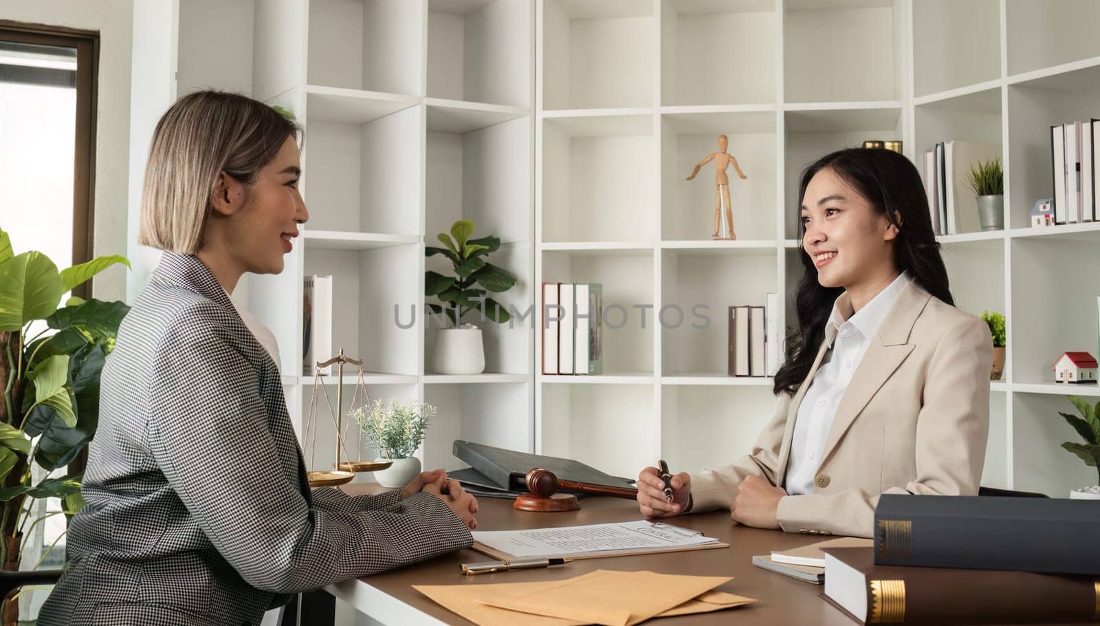 A young lawyer and businesswoman are discussing legal advice on signing a business contract. Insurance or financial contract signing by wichayada