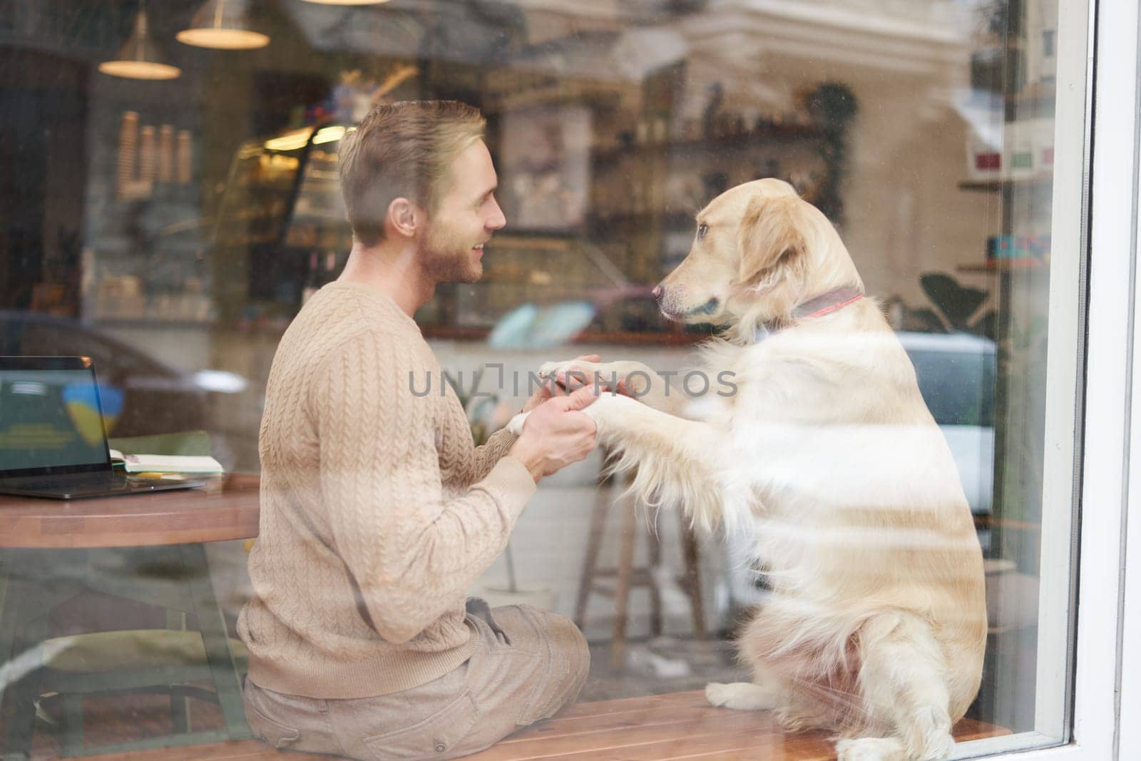 Pet friendly restaurants or public places, support dog, pets as companions. Outdoor shot of cafe window where a visit with golden retriever enjoying quality time.
