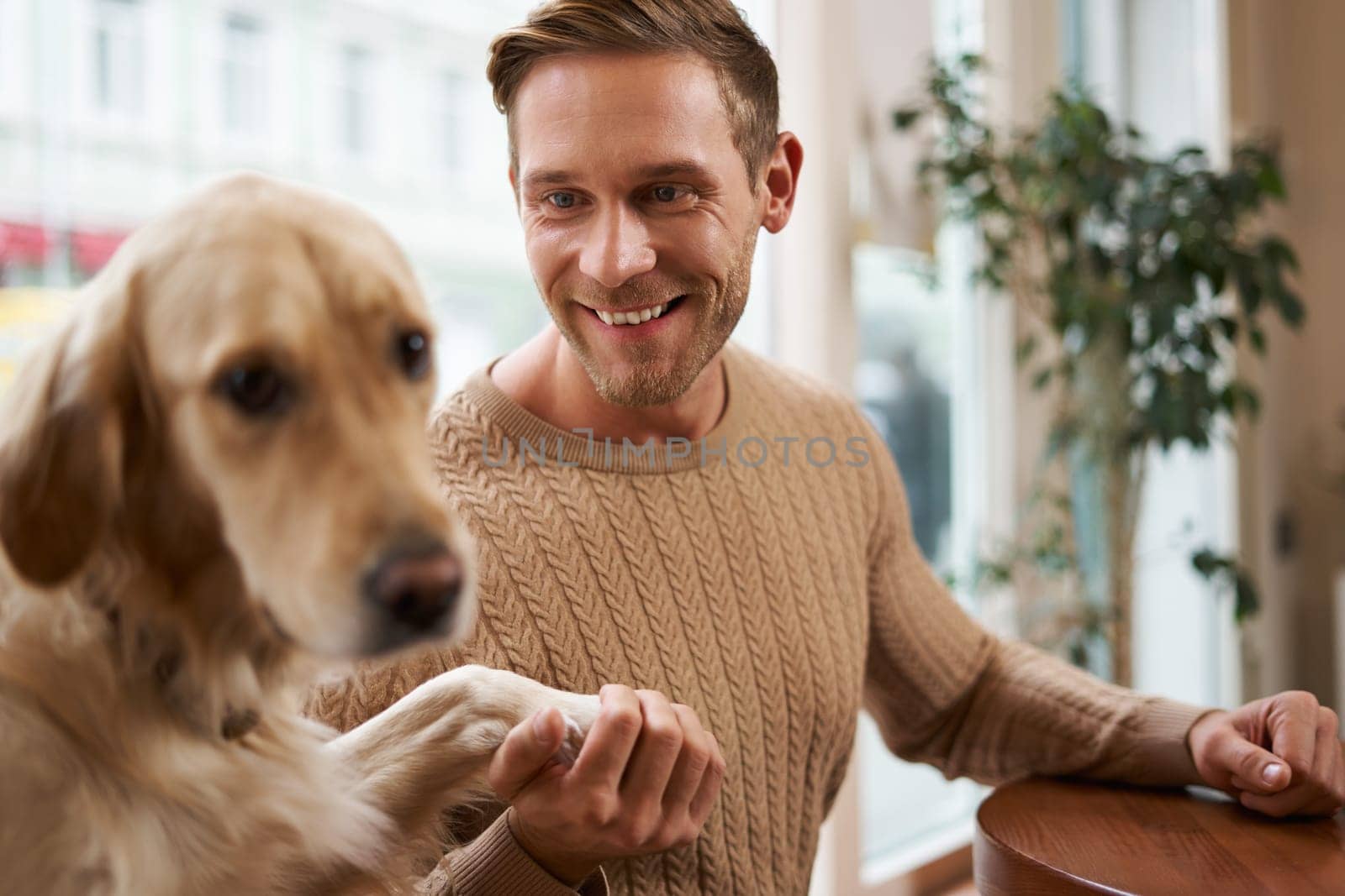 Close up portrait of beautiful golden retriever dog gives paw to a man. Smiling guy holds his pet while sits in a cafe by Benzoix